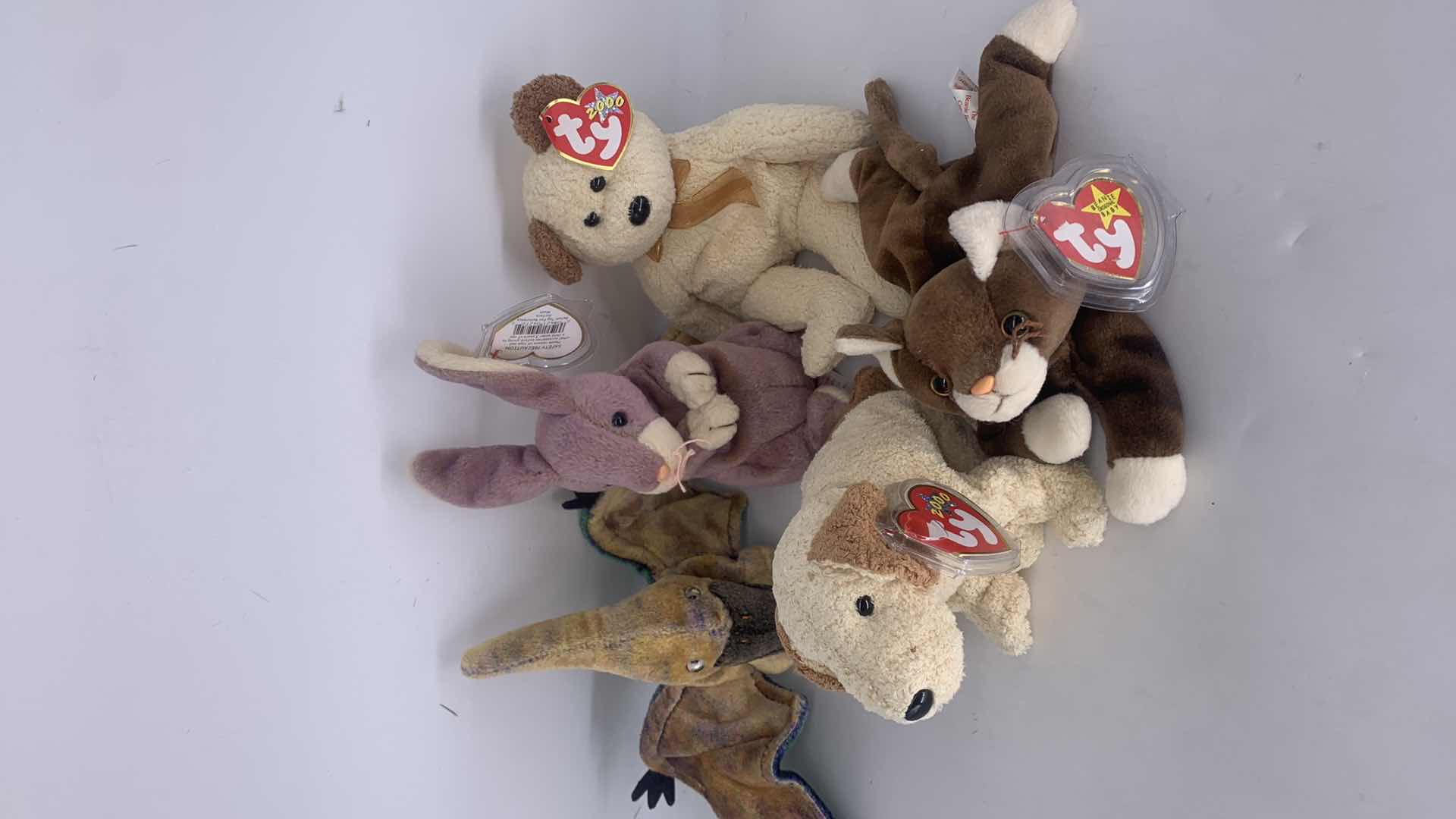 Photo 1 of FIVE NWT COLLECTIBLE TY BEANIES.