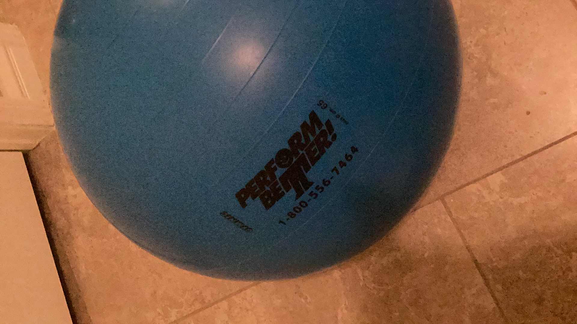 Photo 1 of EXERCISE BALL