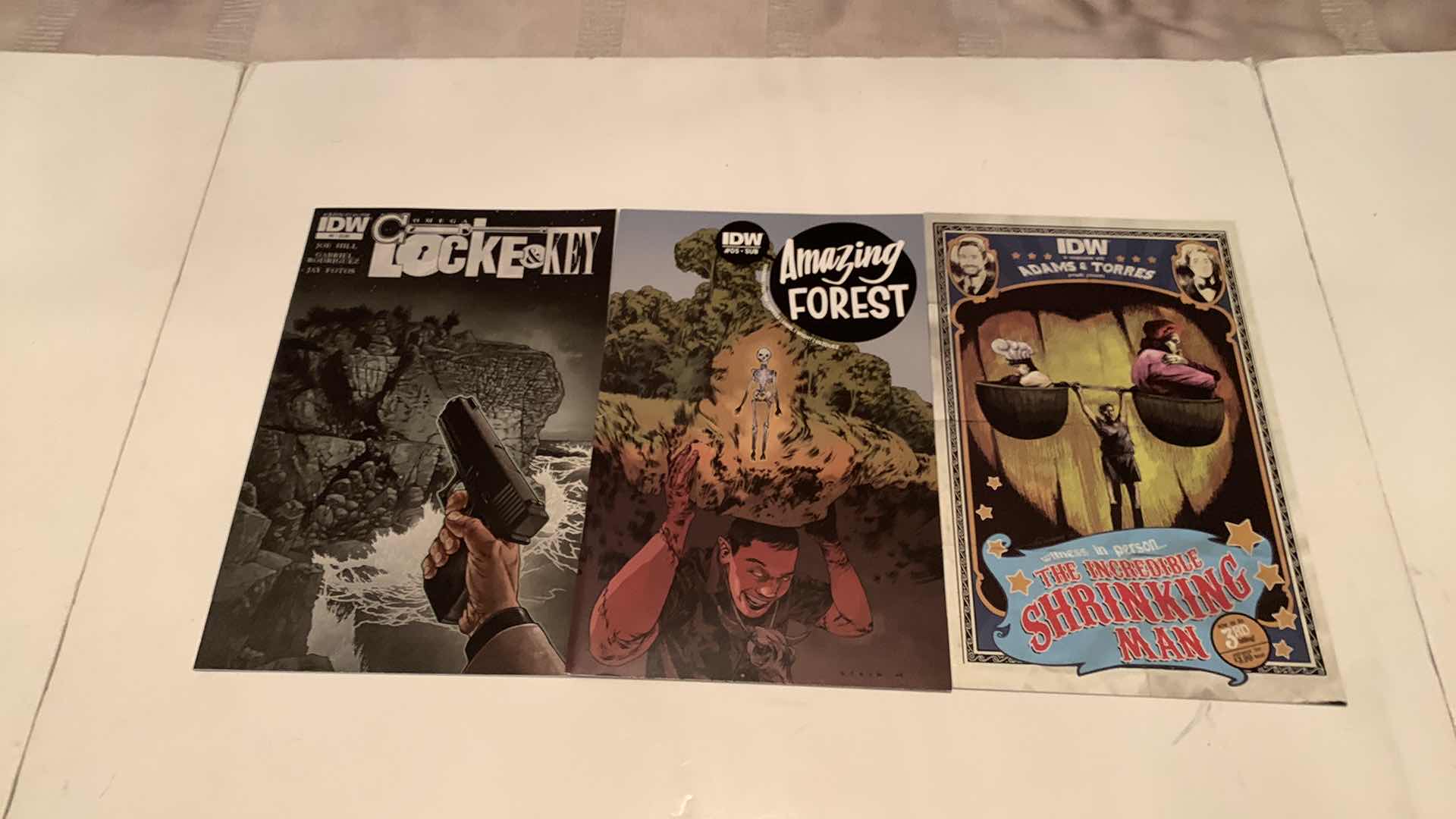 Photo 3 of 9- IDW ASSORTED COMICS