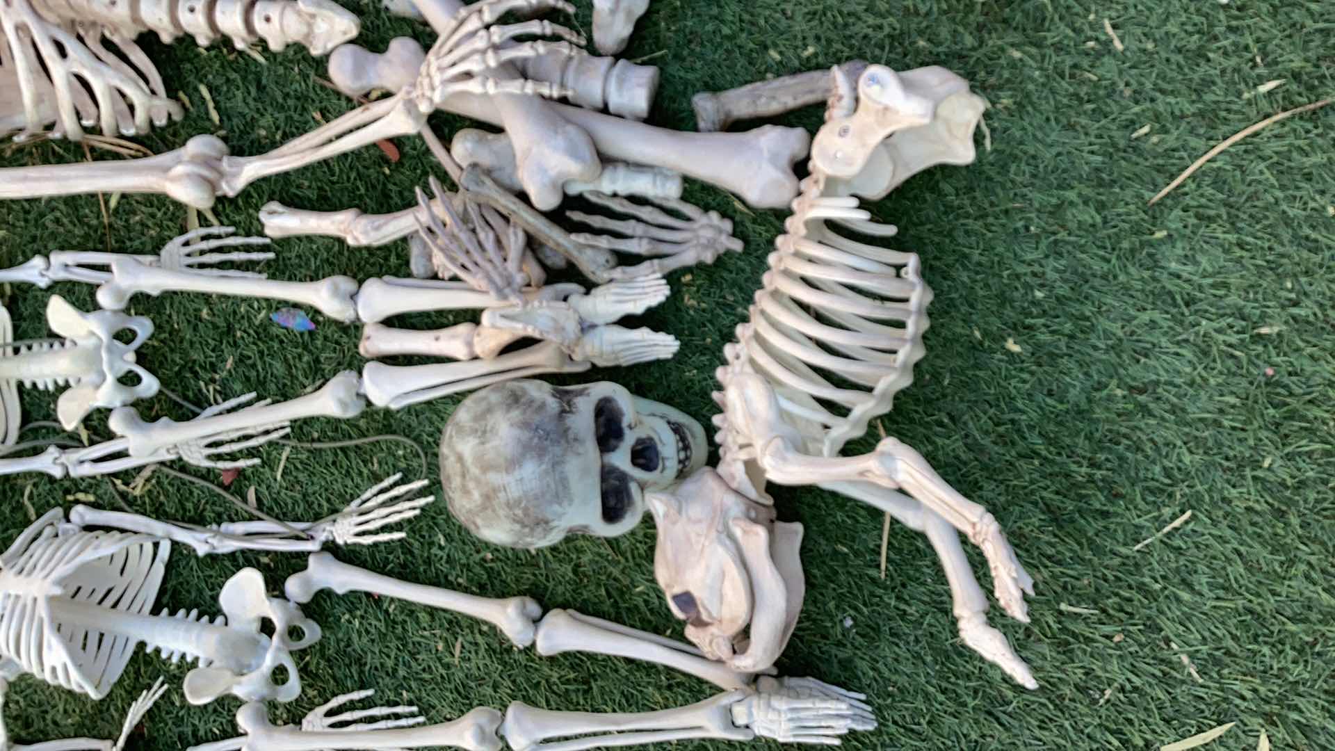 Photo 1 of ASSORTED HALLOWEEN SKELETONS COMPLETE ONES ARE 3 FEET TALL