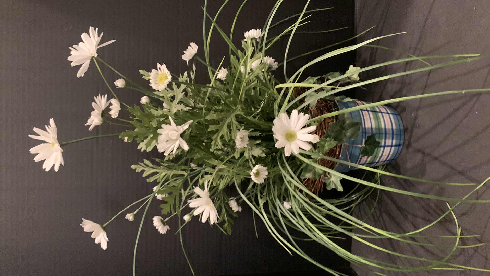 Photo 3 of 7 PIECE HOME DECOR ASSORTMENT, GLASS BOTTLES, CANDLES, FAUX DAISY ARRANGEMENT