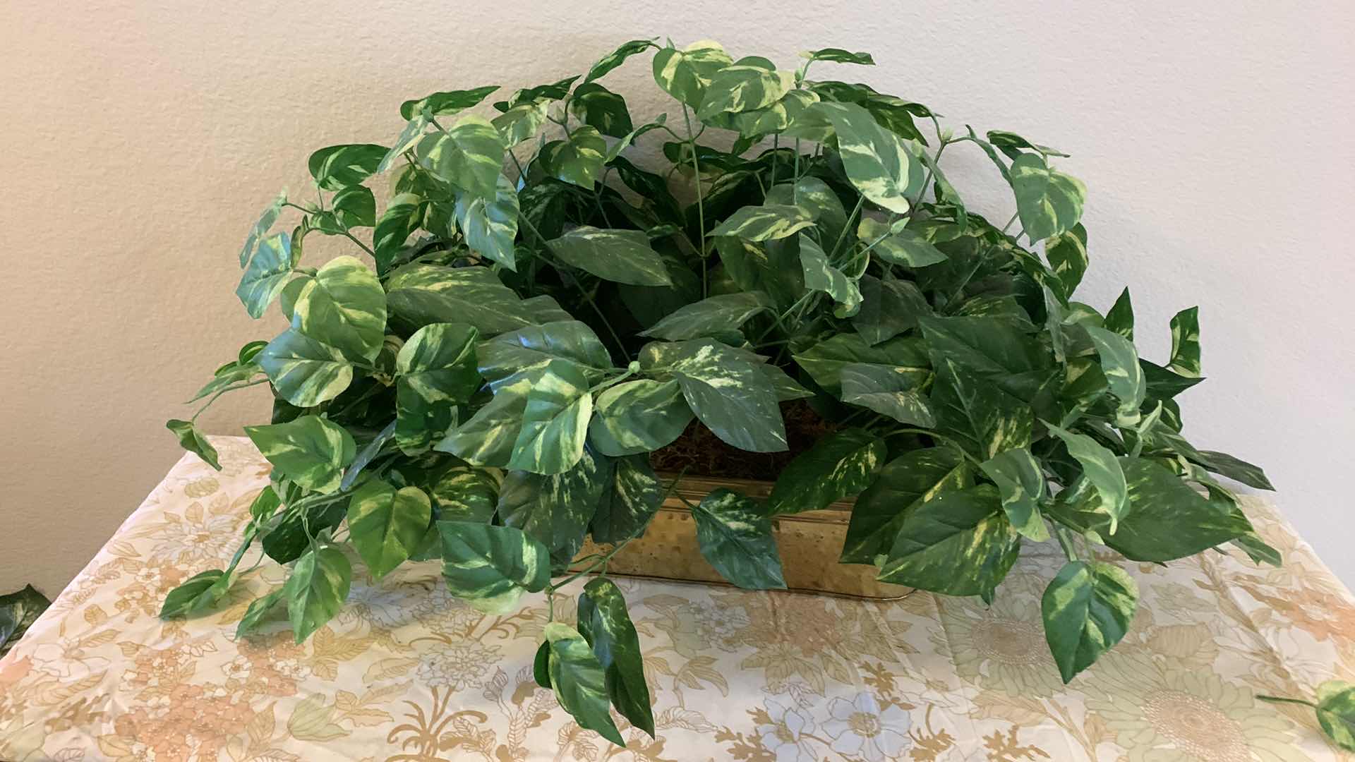 Photo 1 of HOME DECOR, 3 SETS OF FAUX GREENERY