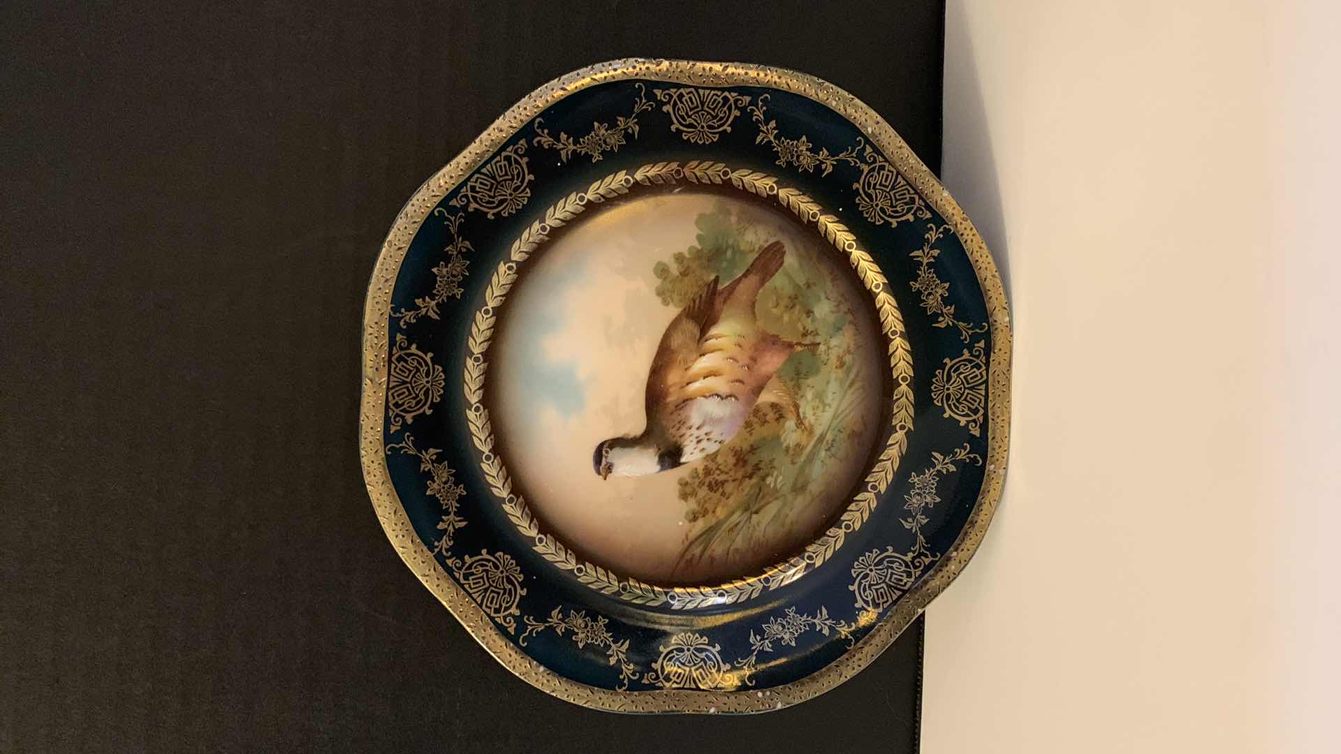 Photo 1 of VINTAGE BAVARIAN PORCELAIN PLATE