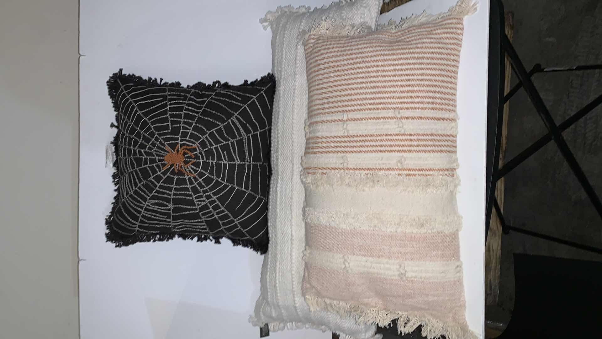Photo 1 of THREE THROW PILLOWS, TWO NEW WITH TAGS