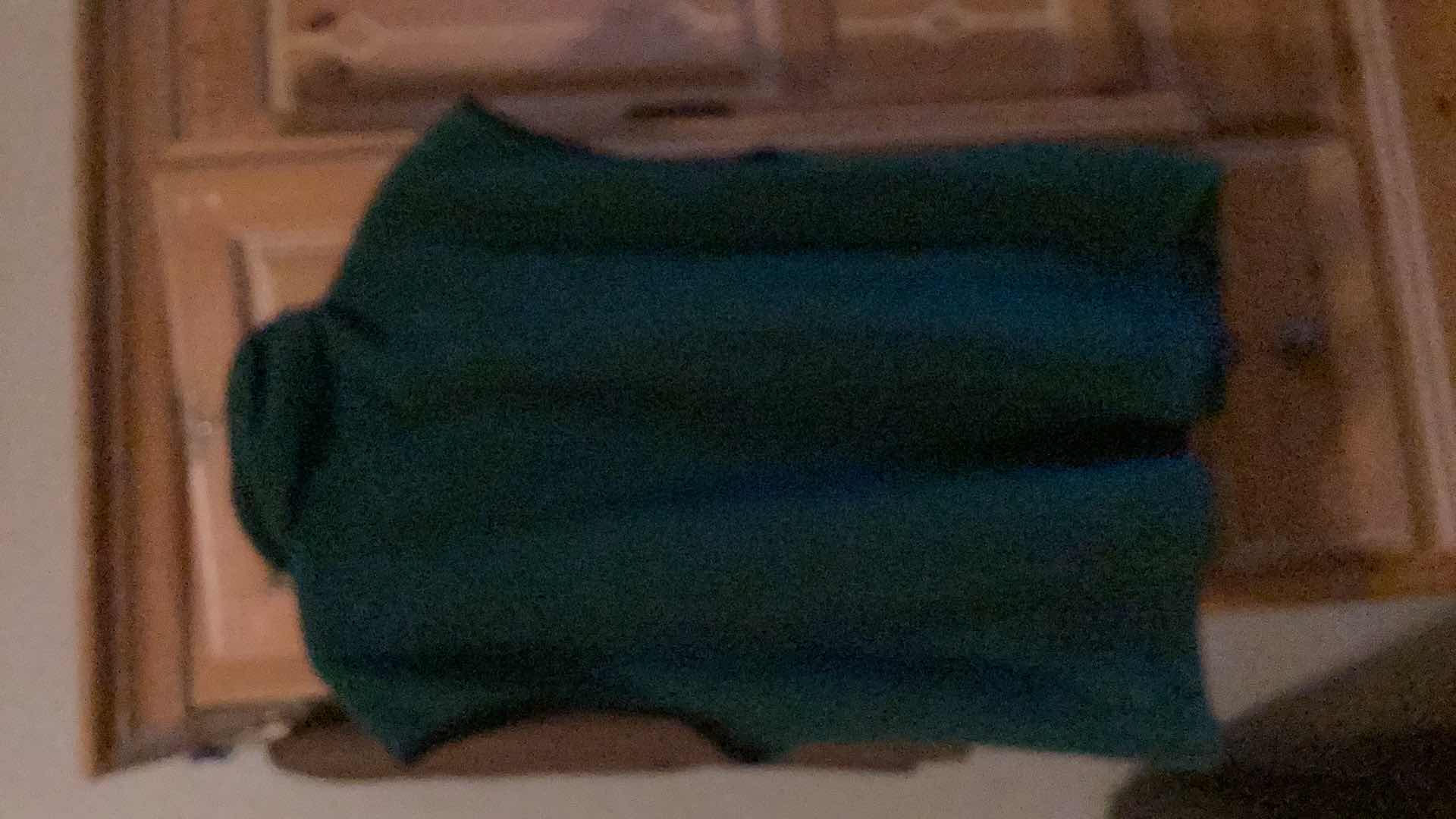 Photo 1 of MENS SIZE LARGE POLAR VEST FROM THE PALMS