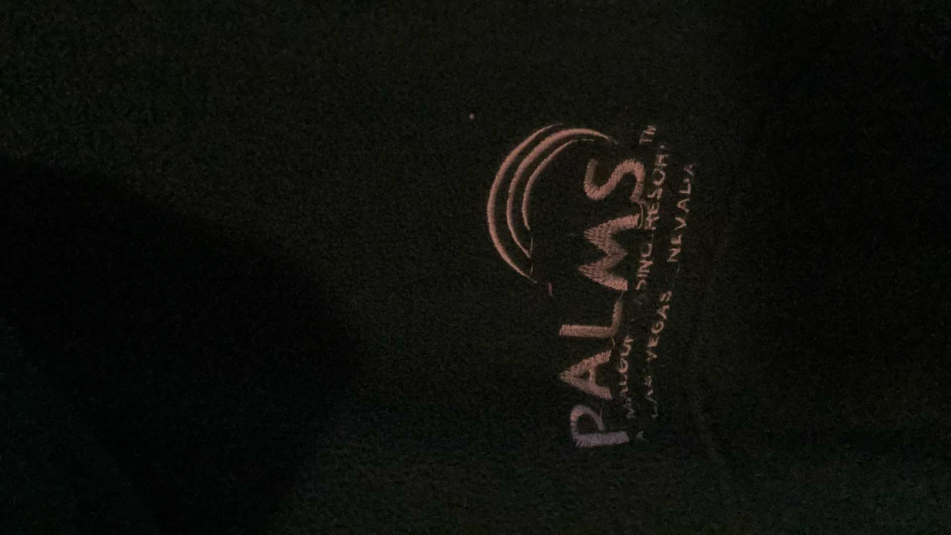 Photo 1 of MENS SIZE LARGE POLAR VEST FROM THE PALMS