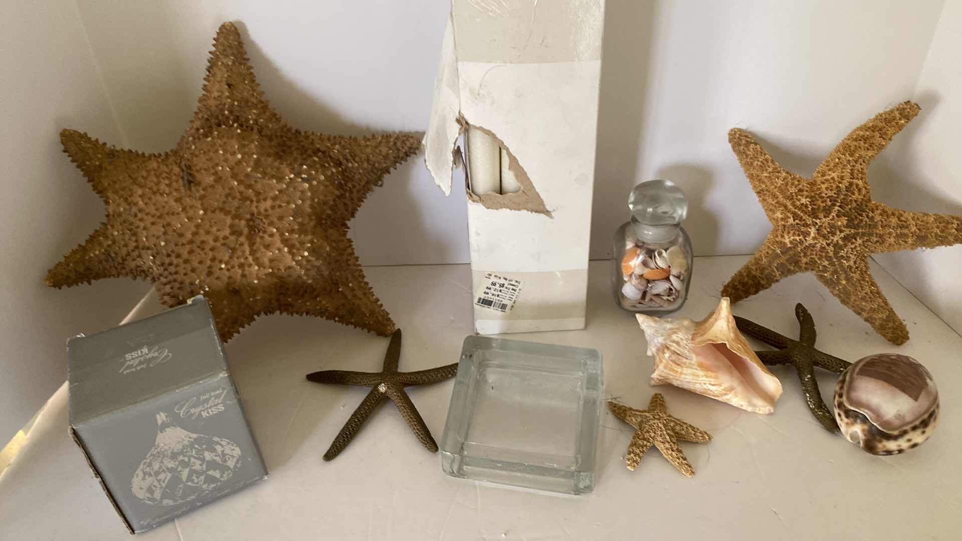 Photo 1 of HOME DECOR STARFISH, SHELLS AND MORE