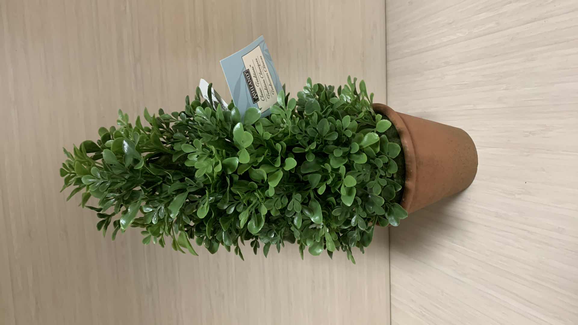 Photo 1 of 2 PIECE HOME DECOR, GLASS VASE AND TOPIARY