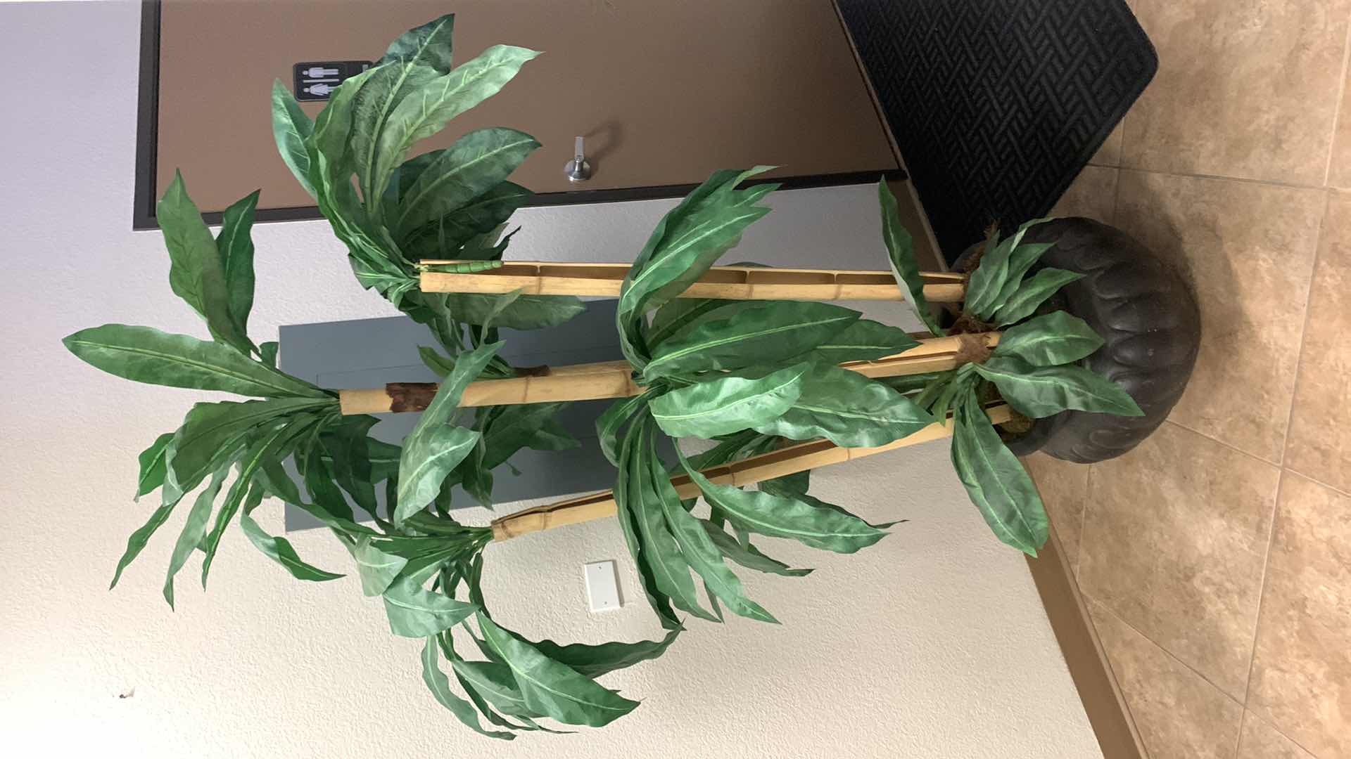 Photo 1 of 7’ FAUX BAMBOO TREE IN BLACK POT