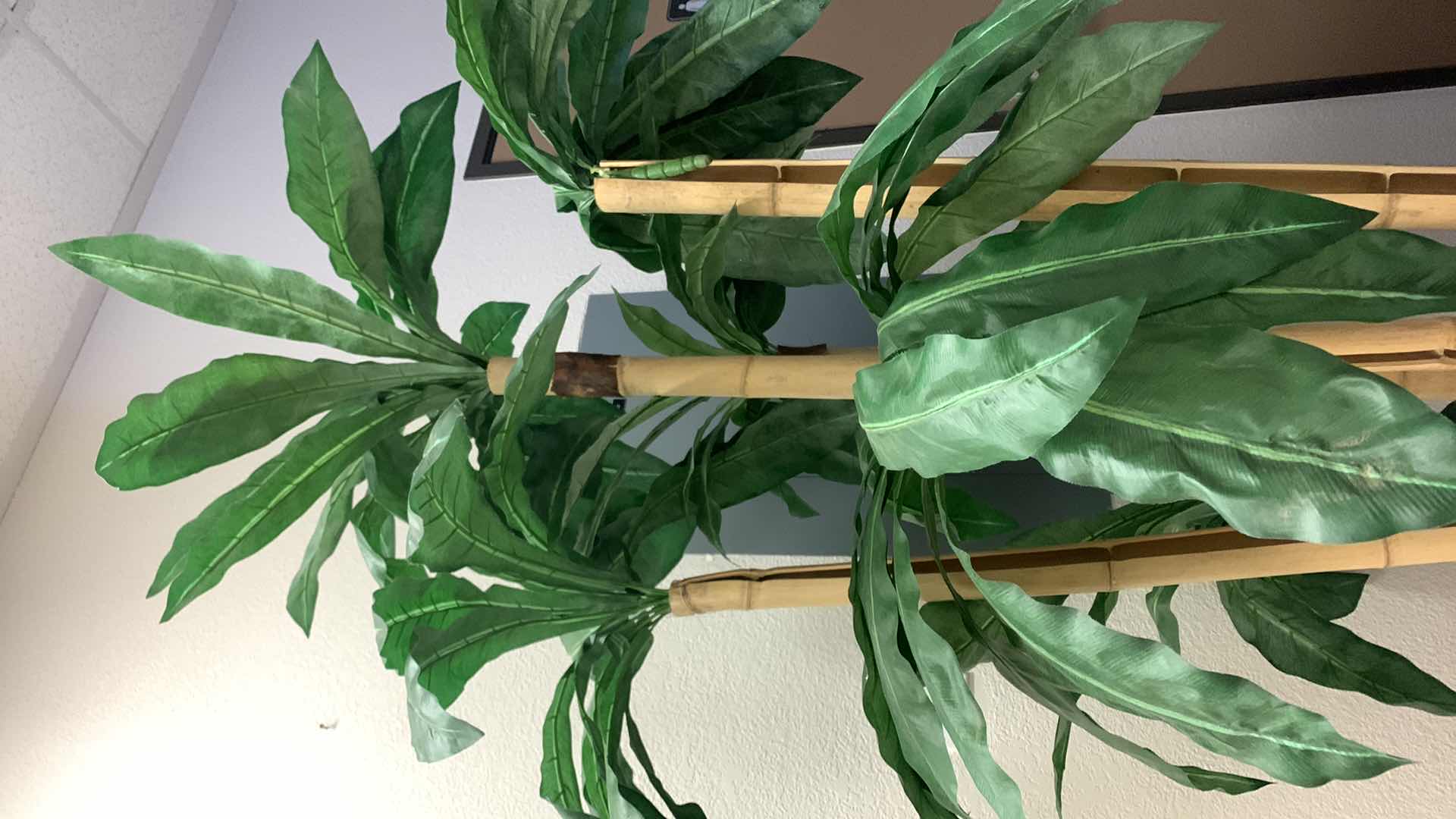 Photo 1 of 7’ FAUX BAMBOO TREE IN BLACK POT