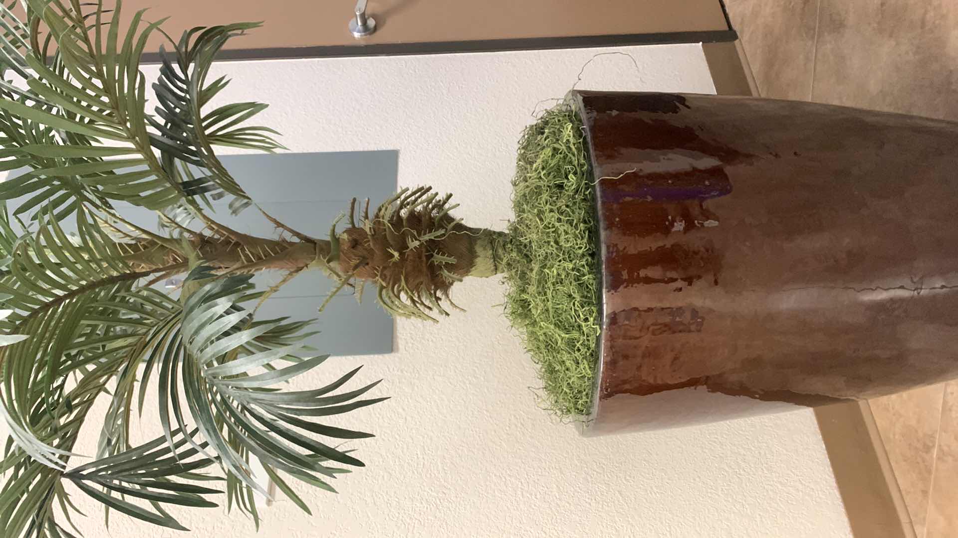 Photo 1 of FAUX PLANT IN GLAZED CERAMIC POT H5’