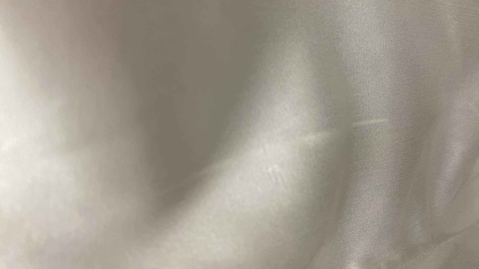 Photo 1 of NWT WOMEN’S SIZE 10 TERANI EVENING GOWN 