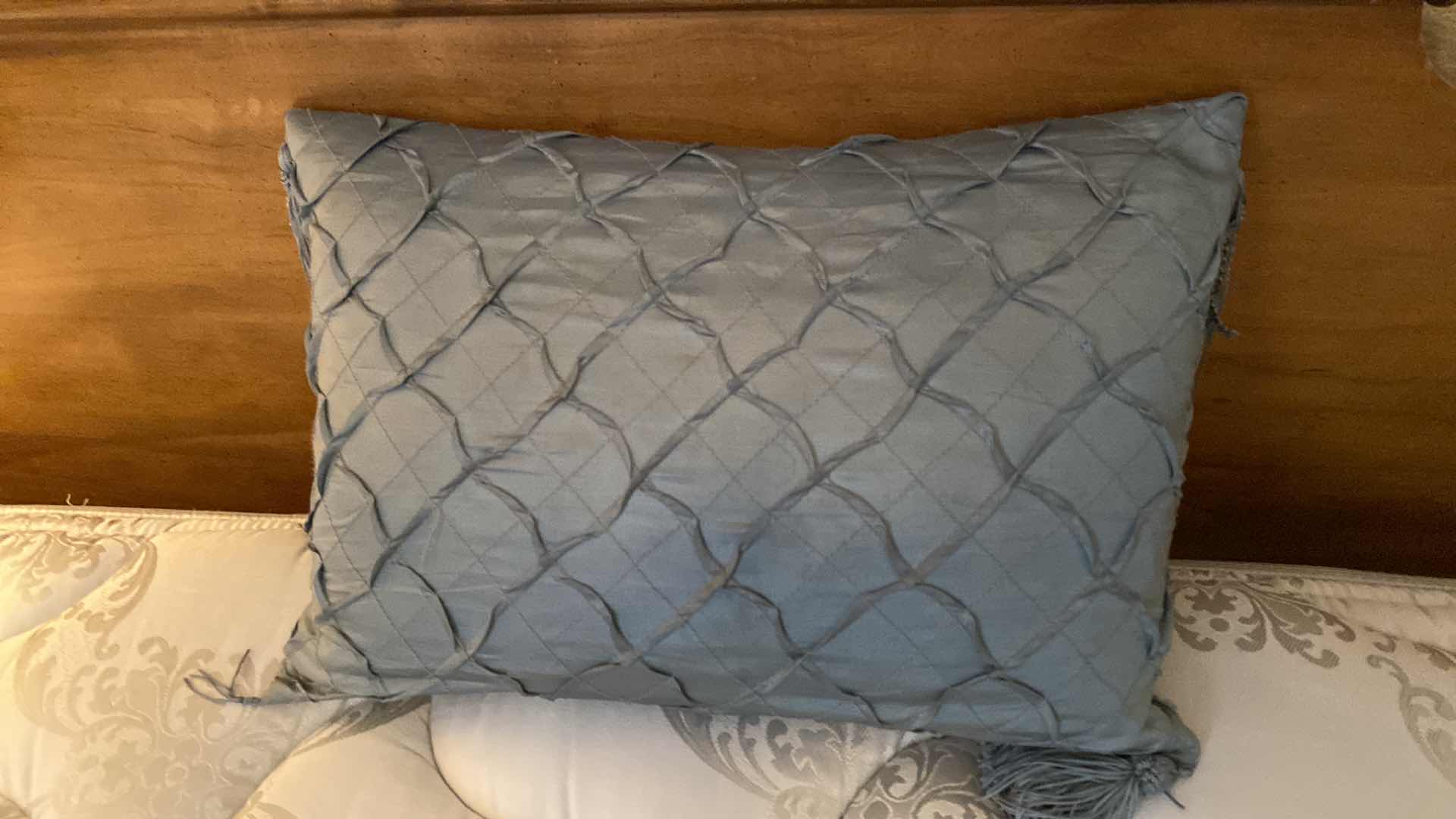 Photo 1 of 4 PILLOWS AND 2 PILLOW COVERS