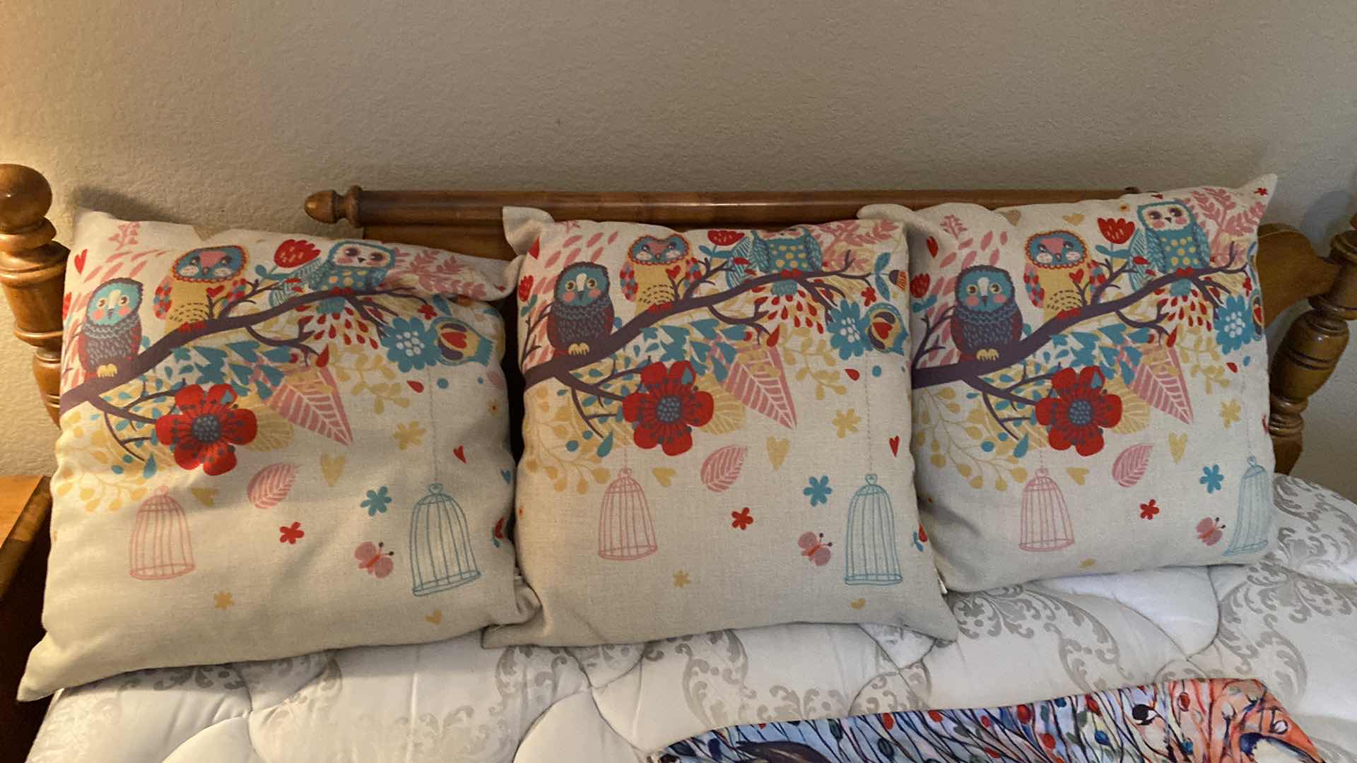 Photo 1 of 4 PILLOWS AND 2 PILLOW COVERS