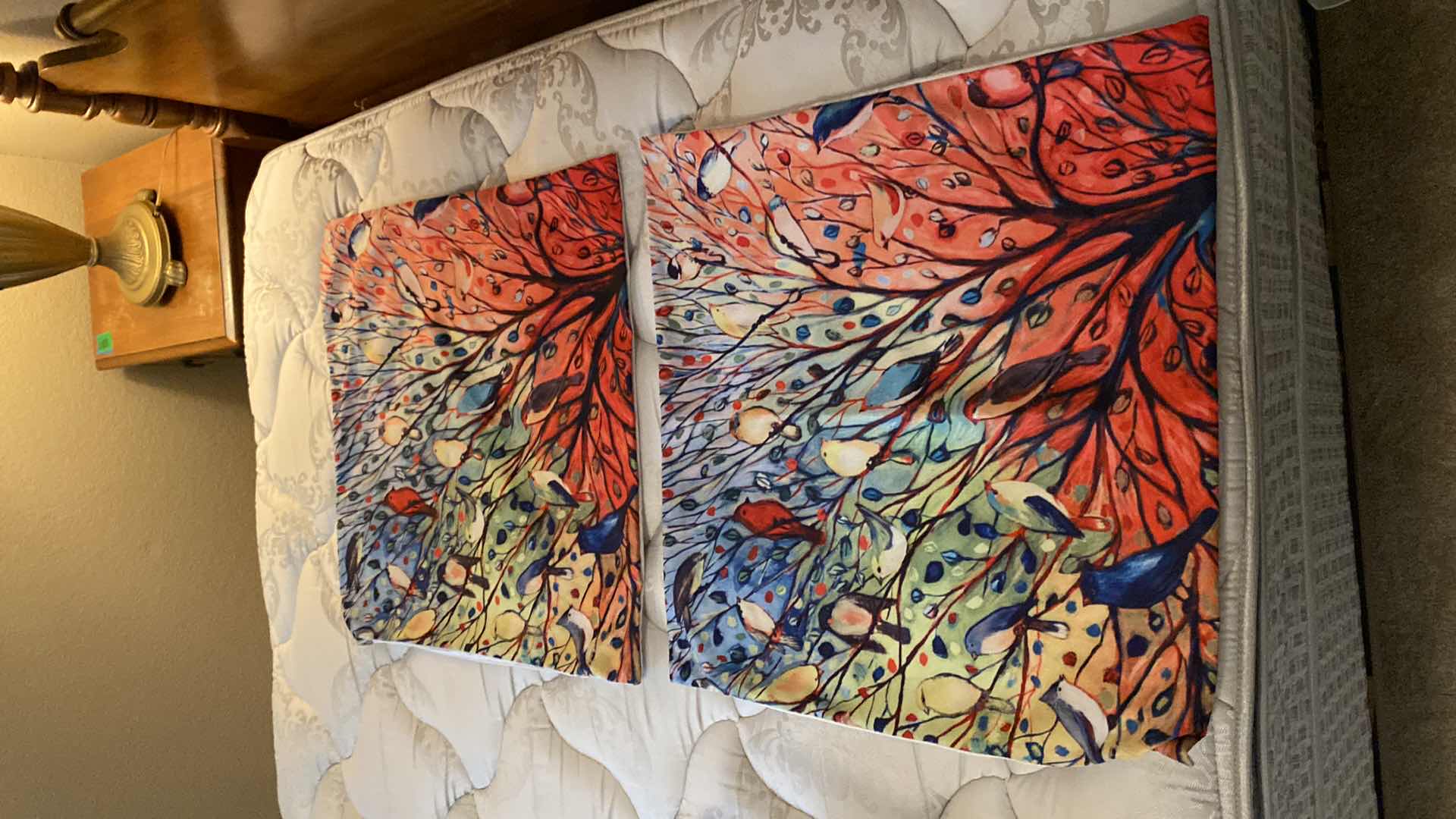 Photo 1 of 4 PILLOWS AND 2 PILLOW COVERS