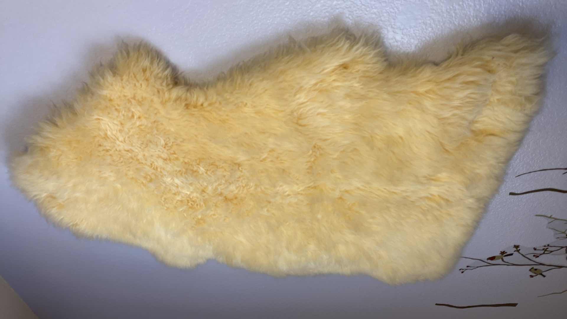 Photo 1 of BEIGE SHEEPSKIN RUG 42”