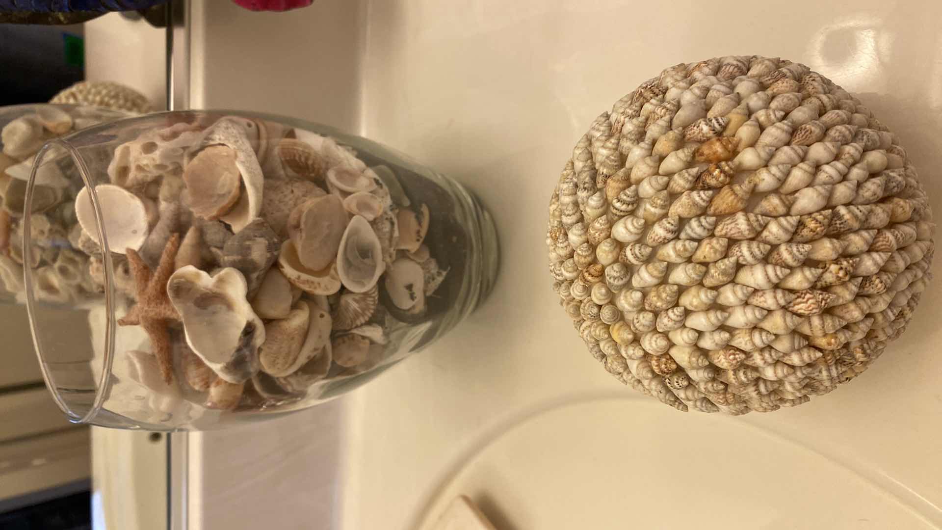 Photo 1 of SHELLS AND BEACH DECOR