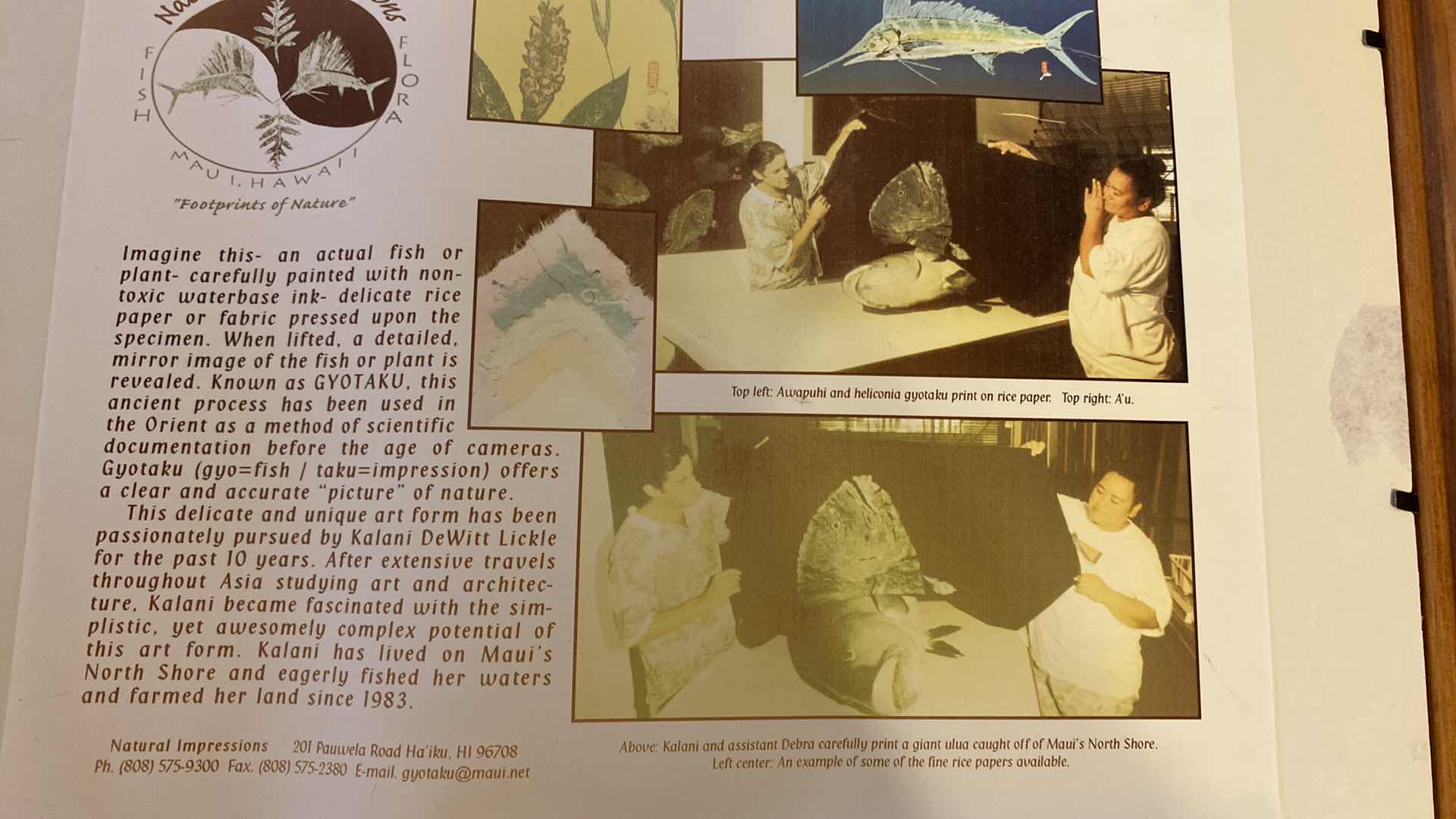 Photo 1 of VINTAGE SIGNED FRAMED PAIR OF NATURAL IMPRESSIONS FISH MAUI 16” X 13” WITH PAPERWORK