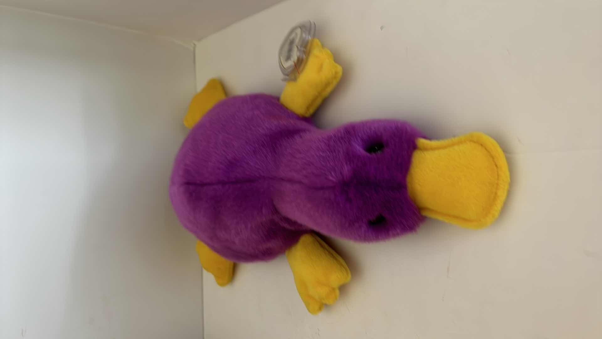 Photo 3 of THREE BEANIE BUDDIES