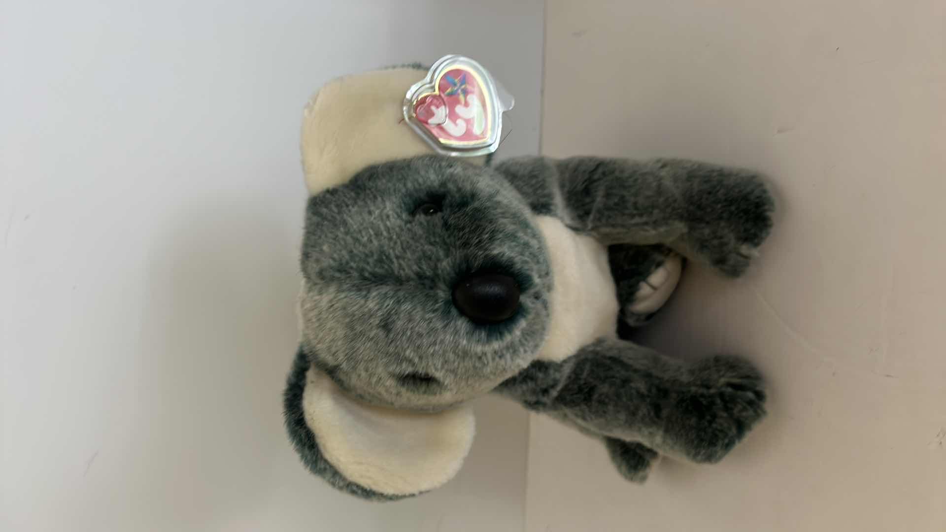 Photo 3 of FOUR BEANIE BUDDIES