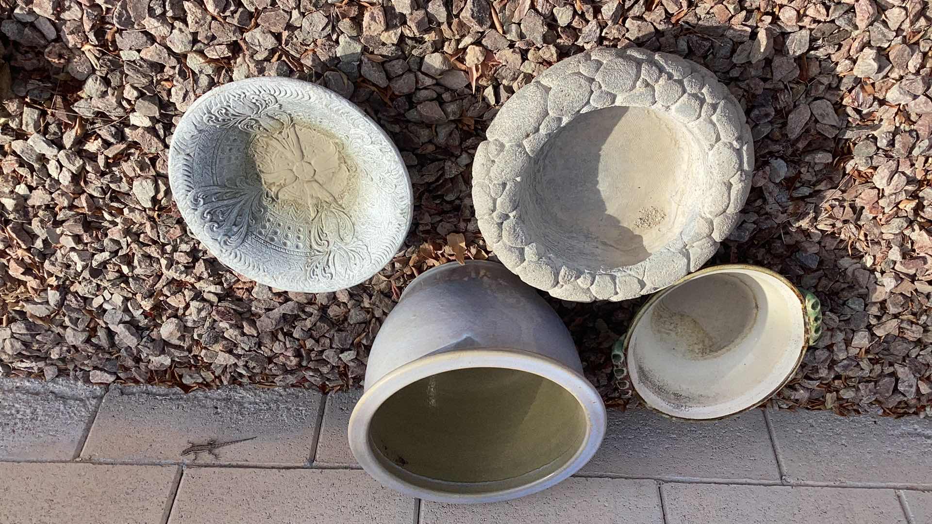 Photo 1 of GARDEN DECOR LIZARD NOT INCLUDED