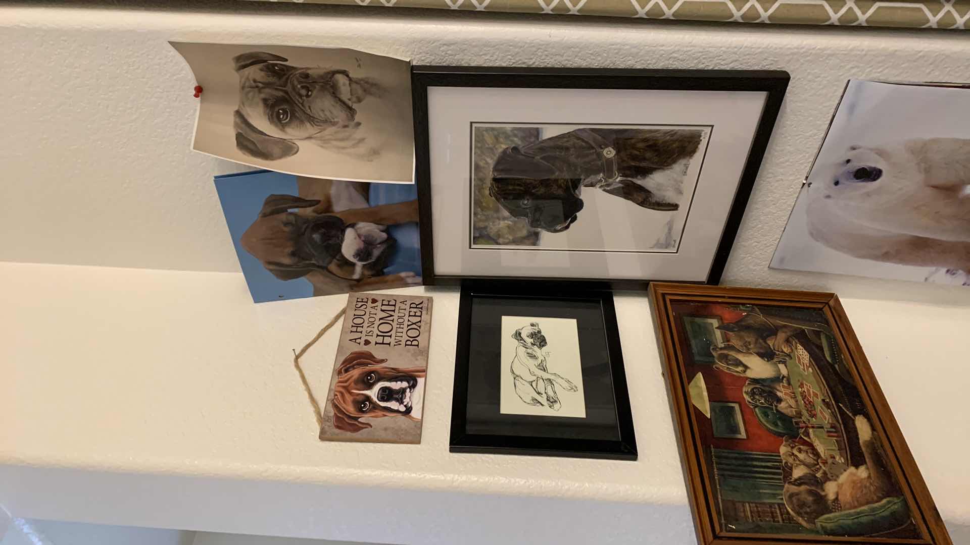 Photo 1 of DOG PICTURES