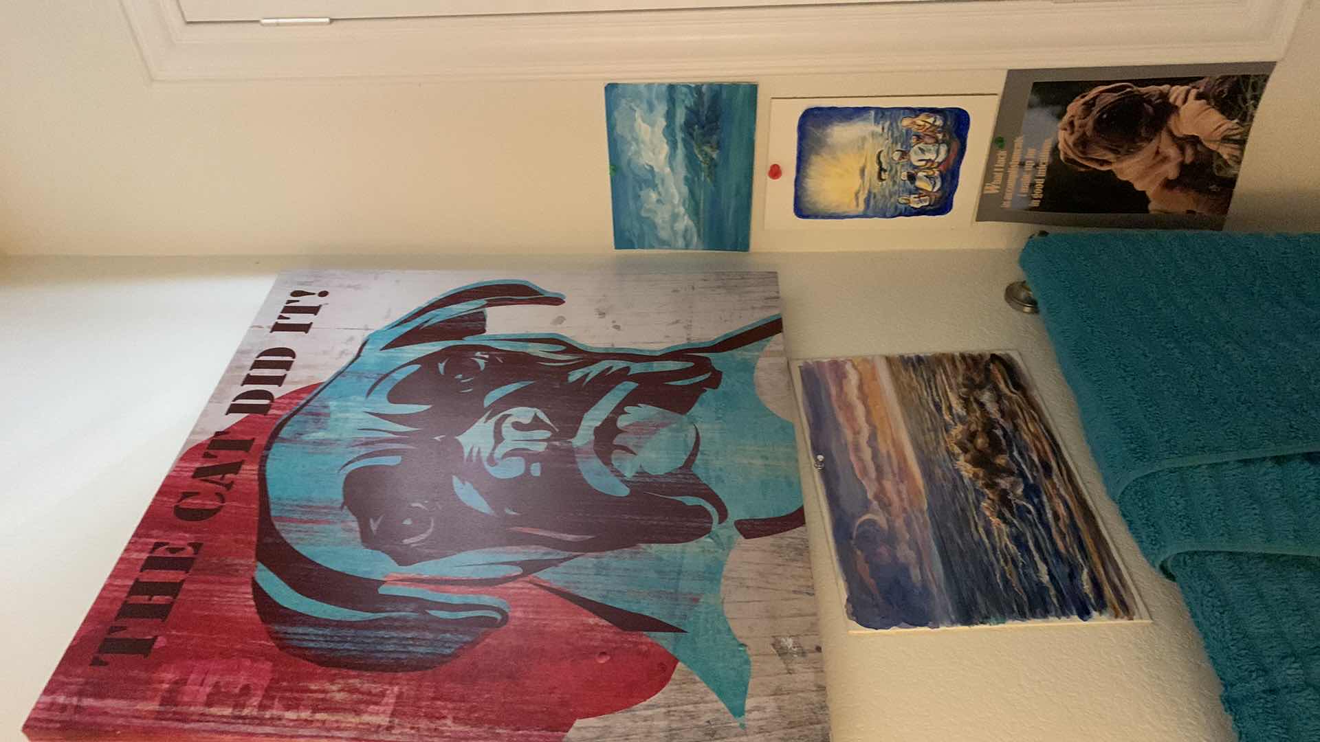 Photo 1 of DOG PICTURES