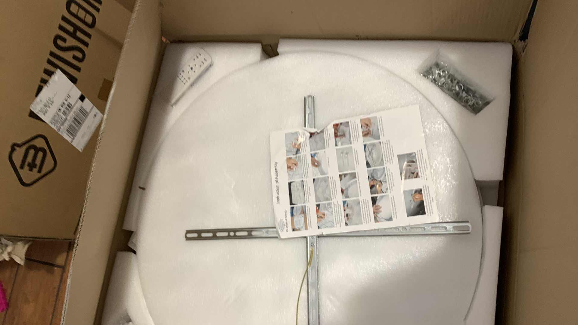 Photo 1 of 20 PETALS LIGHT FIXTURE