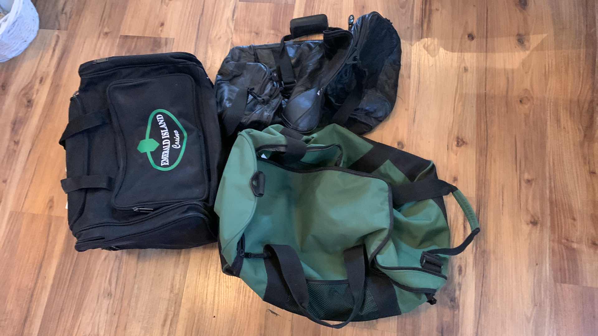 Photo 1 of 3-TRAVEL BAGS