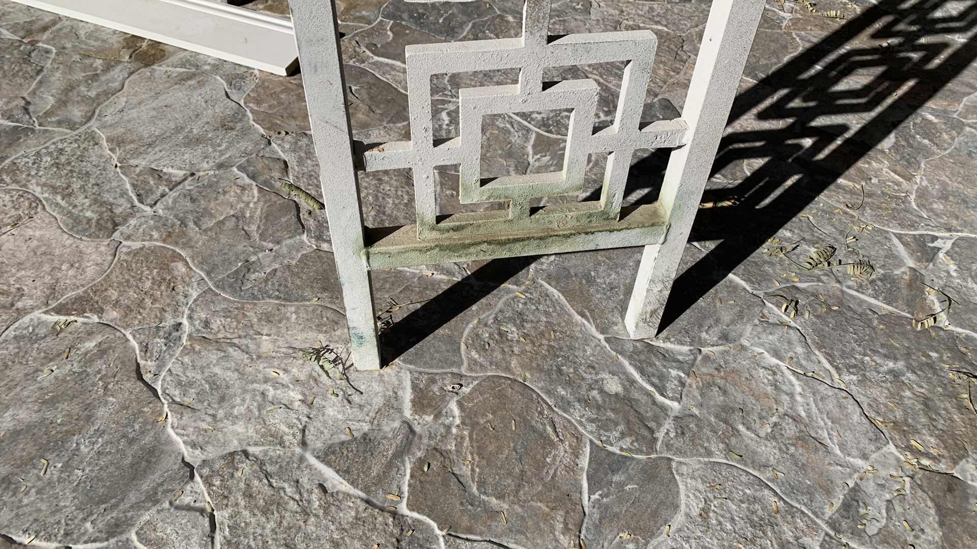 Photo 1 of STEEL GAZEBO WITH ROOF 11 FOOT CIRCUMFERENCE