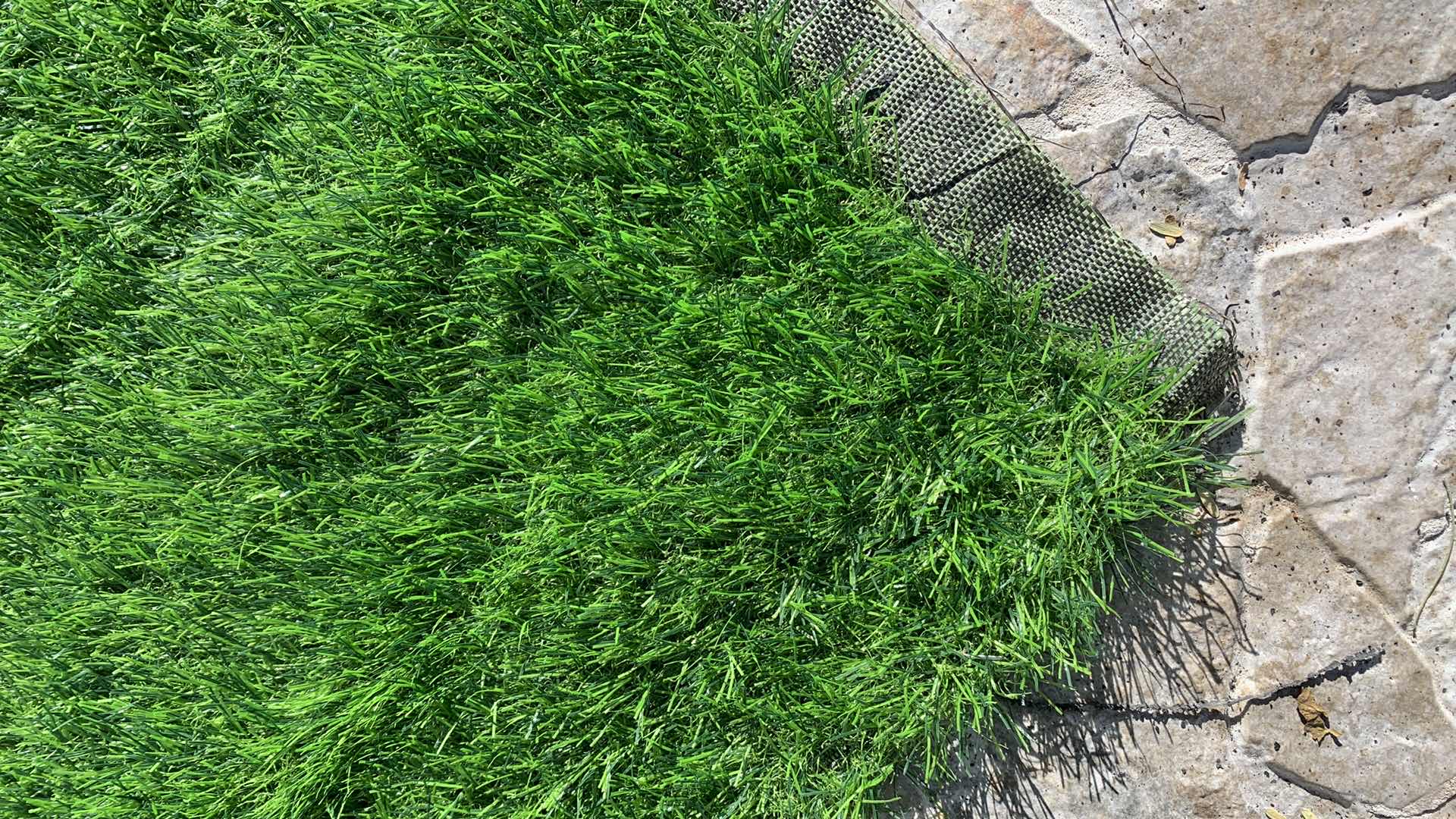 Photo 3 of ARTIFICIAL TURF 81” X 150”