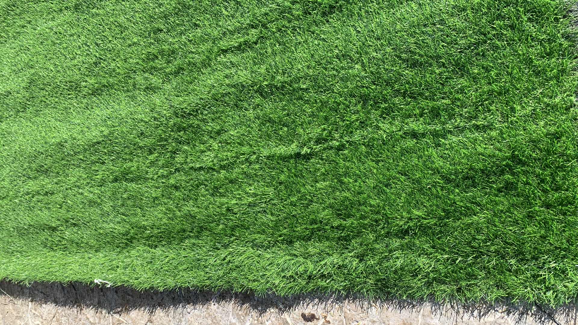 Photo 1 of ARTIFICIAL TURF 81” X 150”