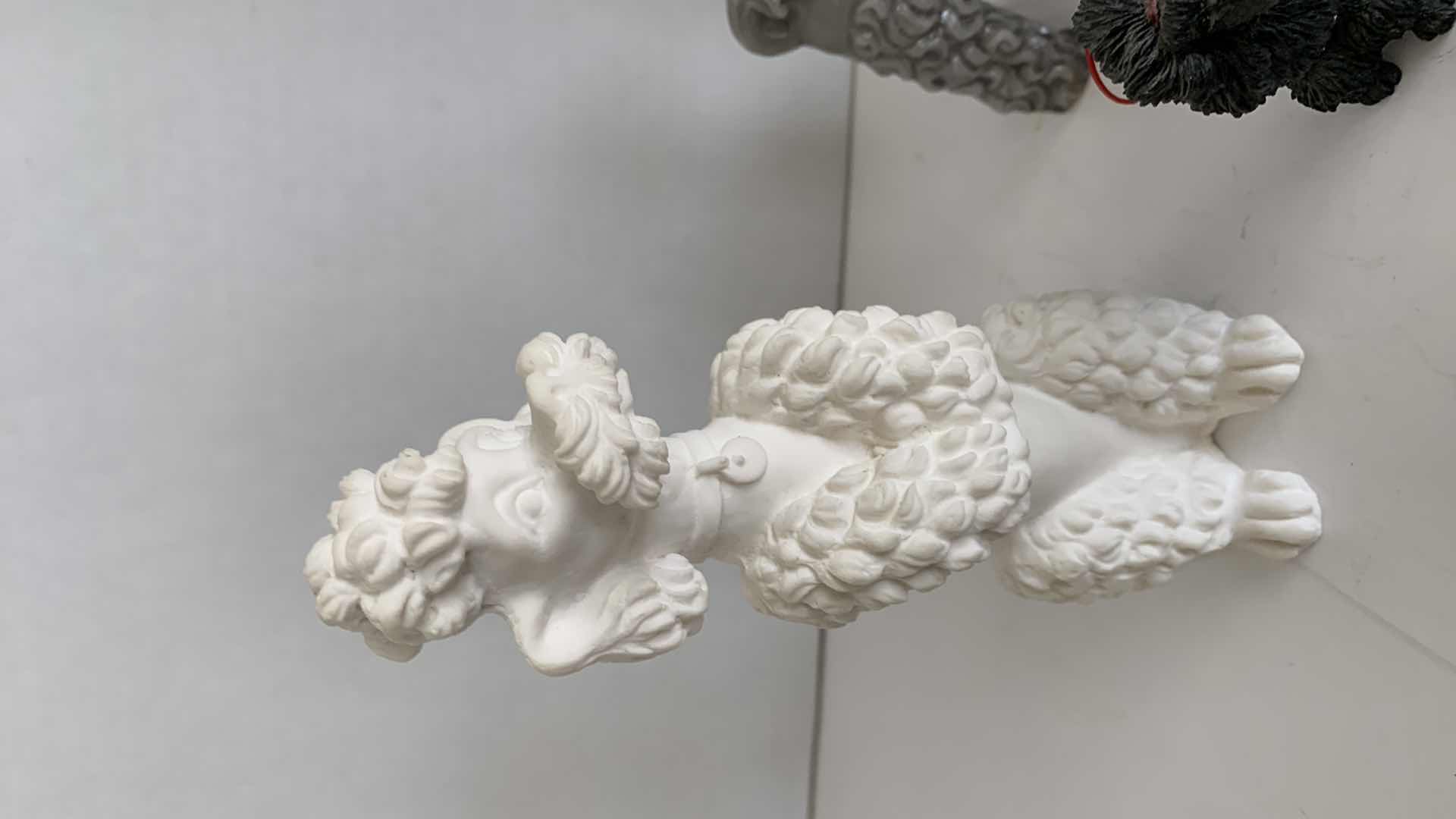 Photo 1 of 4-POODLES TALLEST IS 5”