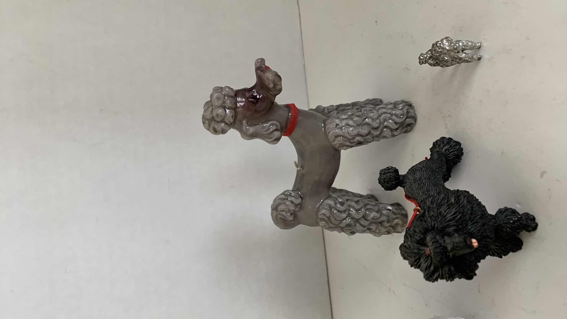 Photo 1 of 4-POODLES TALLEST IS 5”