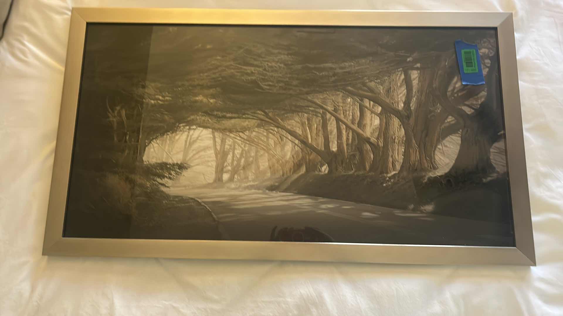 Photo 1 of SILVER FRAMED TREE LINED STREET "INSIDE A DREAM" ARTWORK  40 1/2” x 22 1/2”