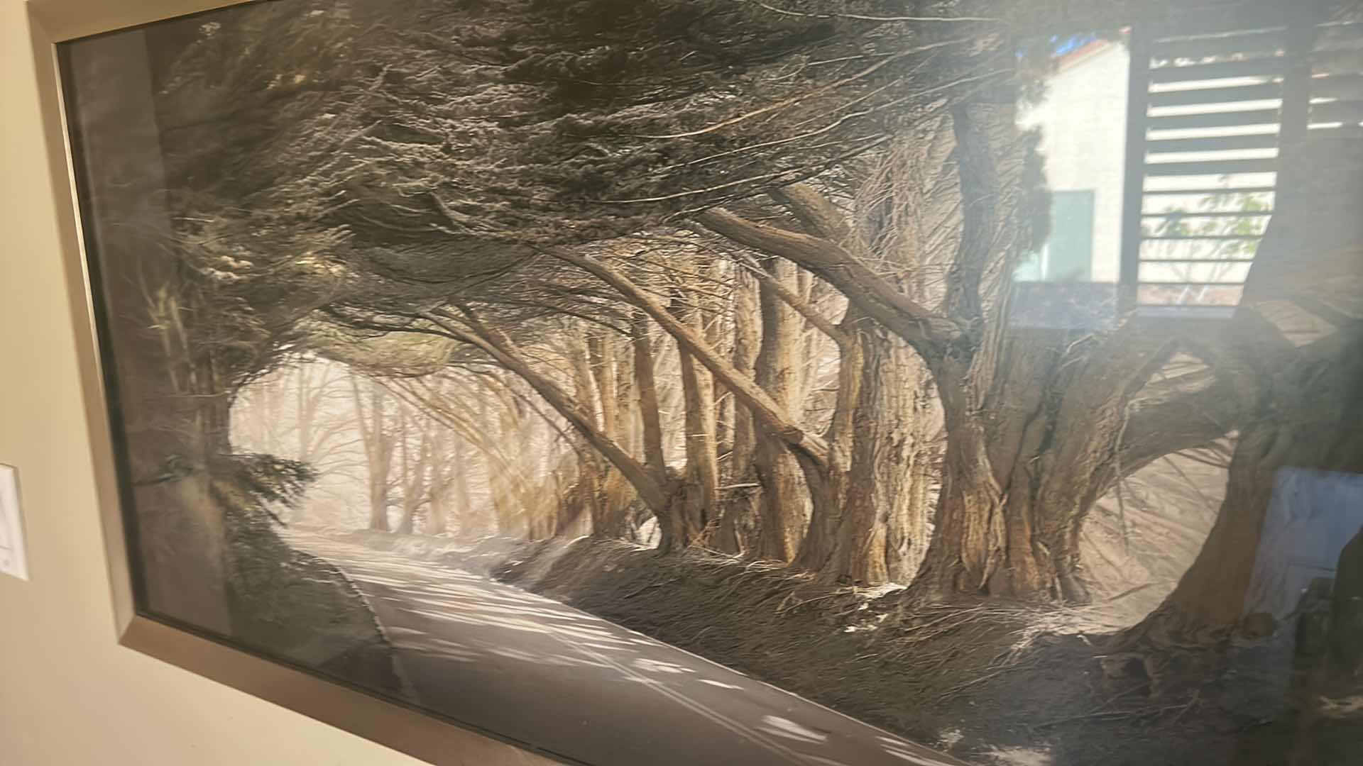 Photo 1 of SILVER FRAMED TREE LINED STREET "INSIDE A DREAM" ARTWORK  40 1/2” x 22 1/2”