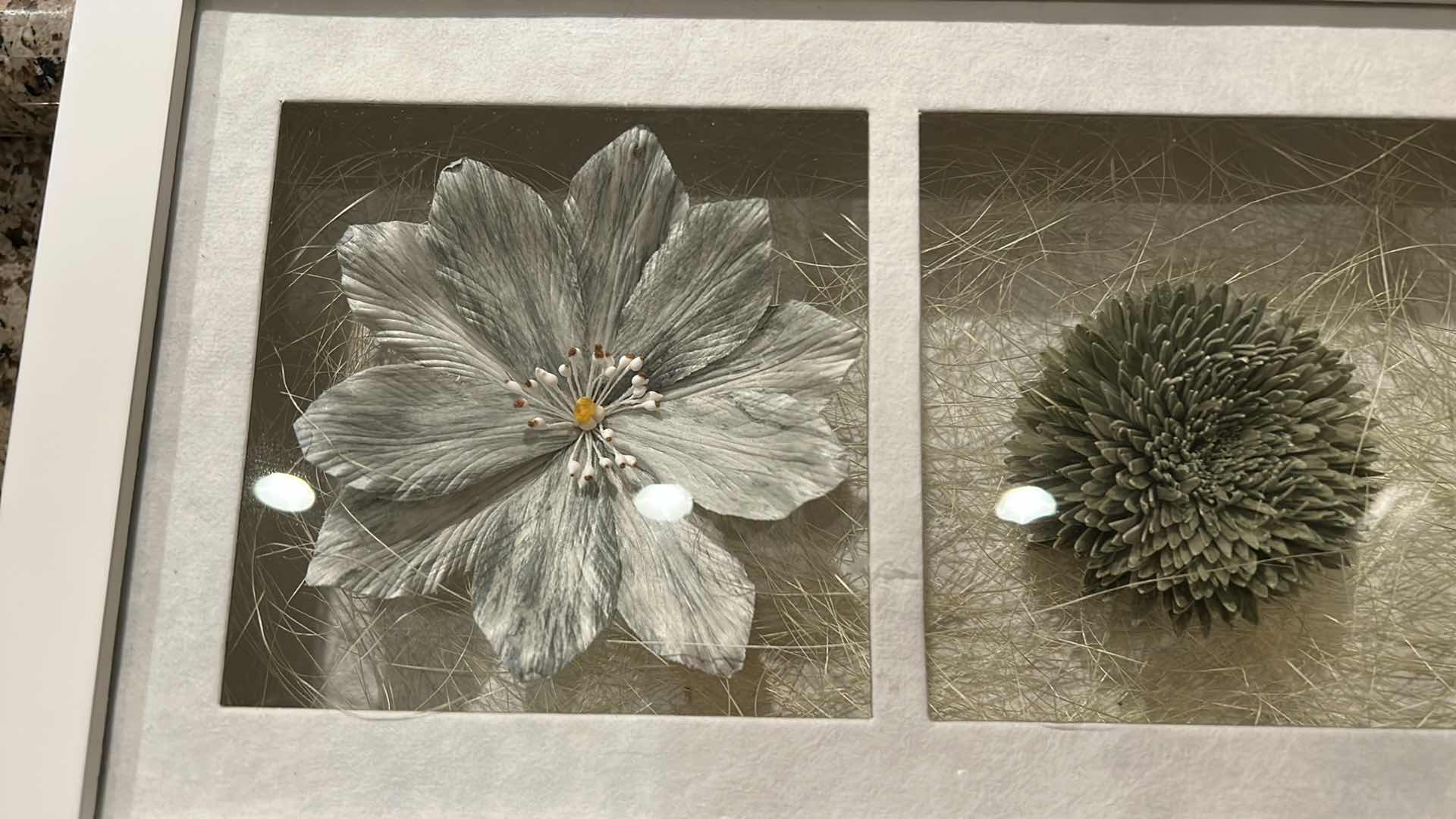 Photo 1 of WHITE FRAMED FLORAL SHADOWBOX 18” x 8 1/4”