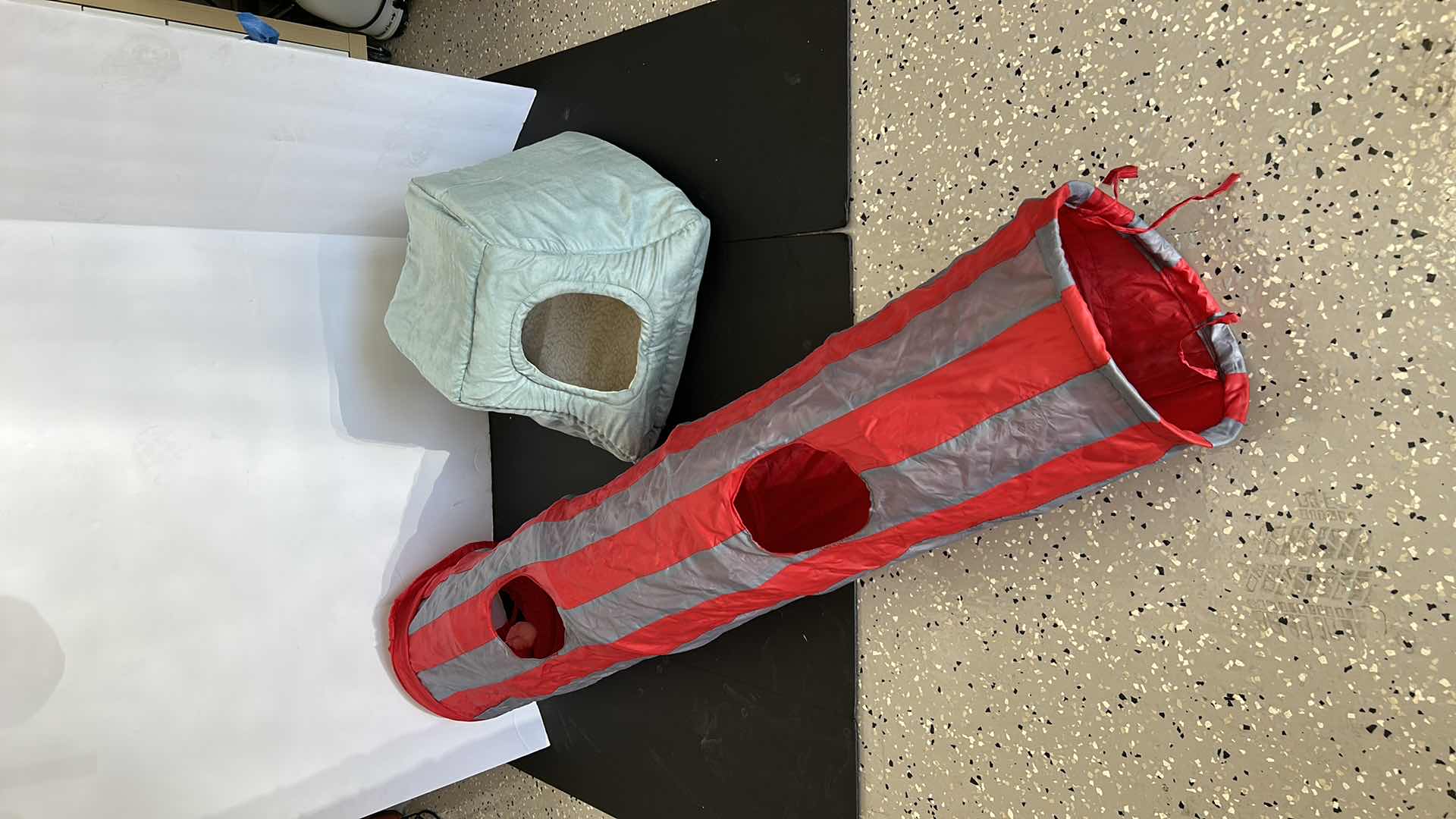 Photo 1 of CAT TUNNEL  49” AND CAT HOUSE