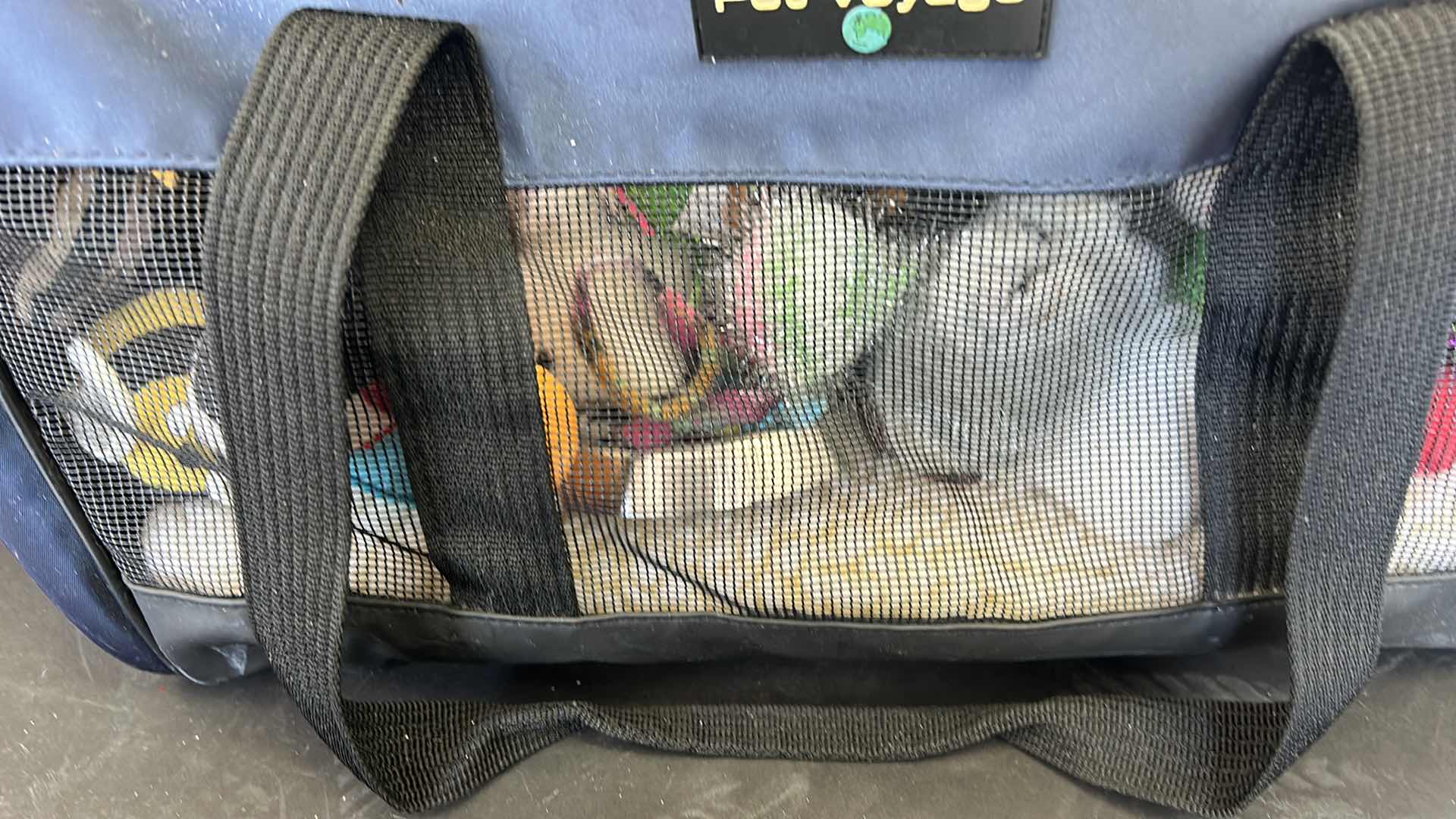 Photo 1 of CAT SUPPLIES, TOYS, TOTE AND MORE