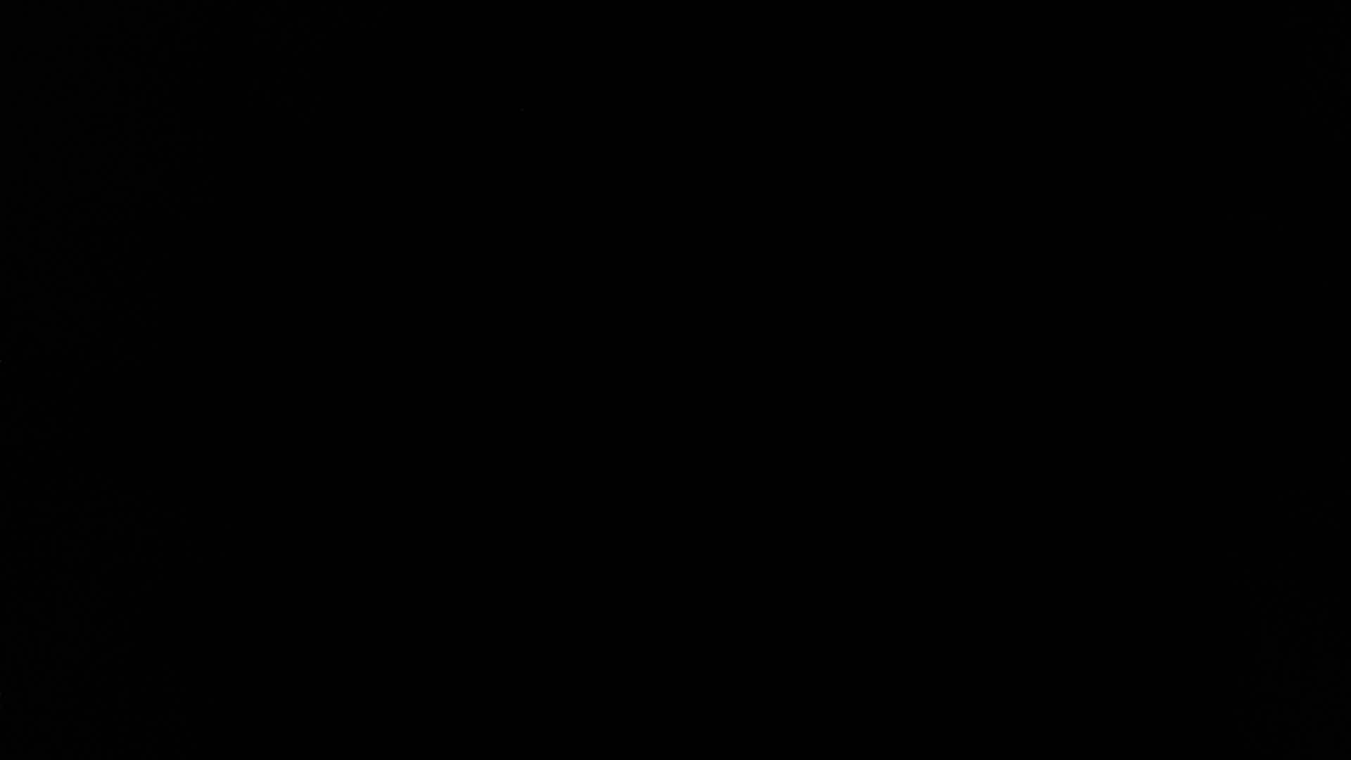 Photo 4 of 2 LIGHTED CHRISTMAS TREES