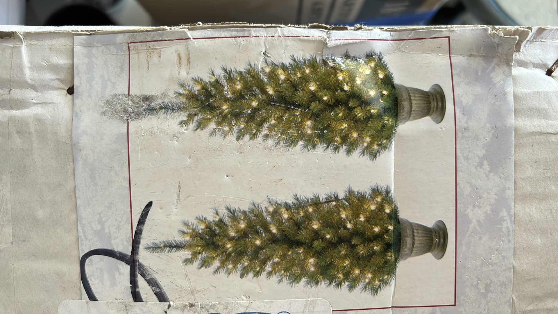 Photo 5 of 2 LIGHTED CHRISTMAS TREES