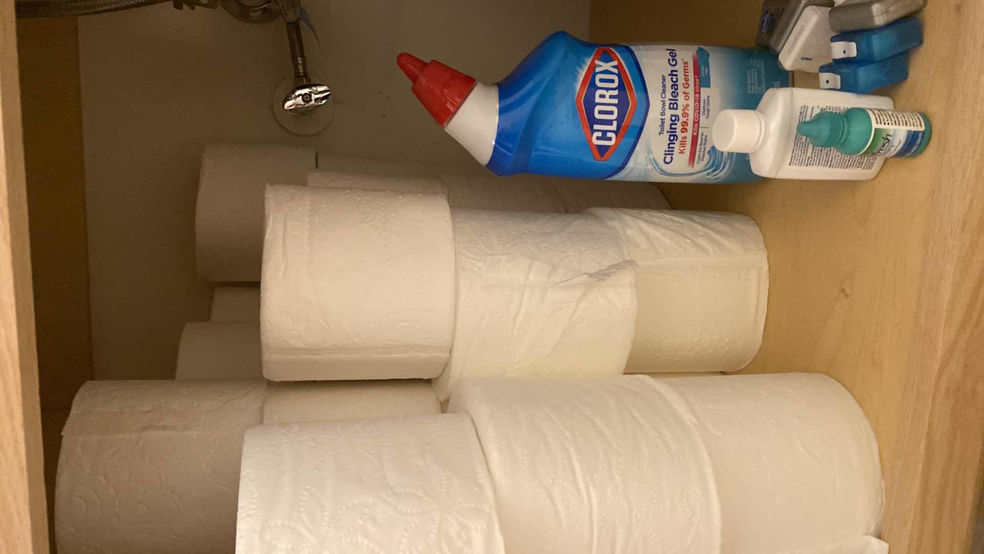 Photo 1 of CONTENTS UNDER BATHROOM SINK AND SHOWER CURTAIN