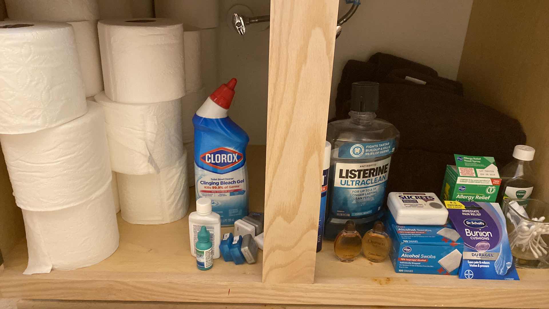 Photo 1 of CONTENTS UNDER BATHROOM SINK AND SHOWER CURTAIN