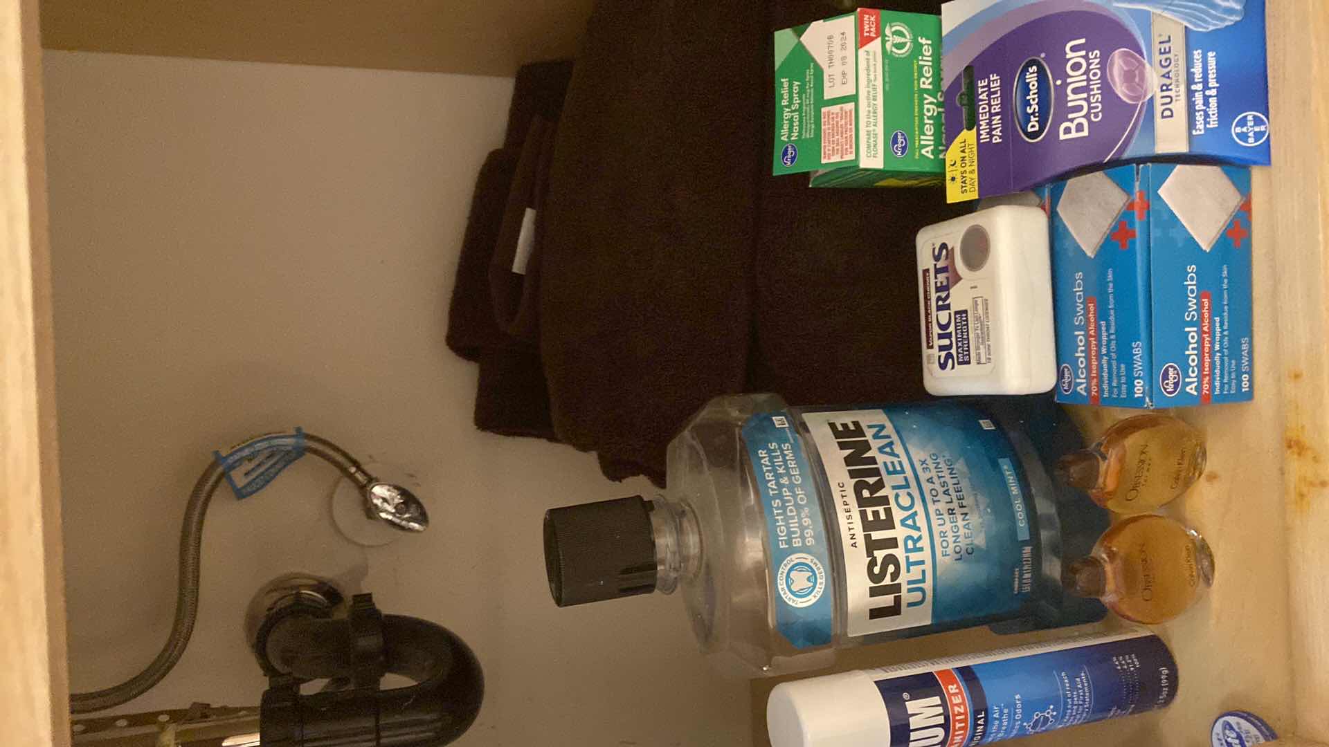 Photo 3 of CONTENTS UNDER BATHROOM SINK AND SHOWER CURTAIN