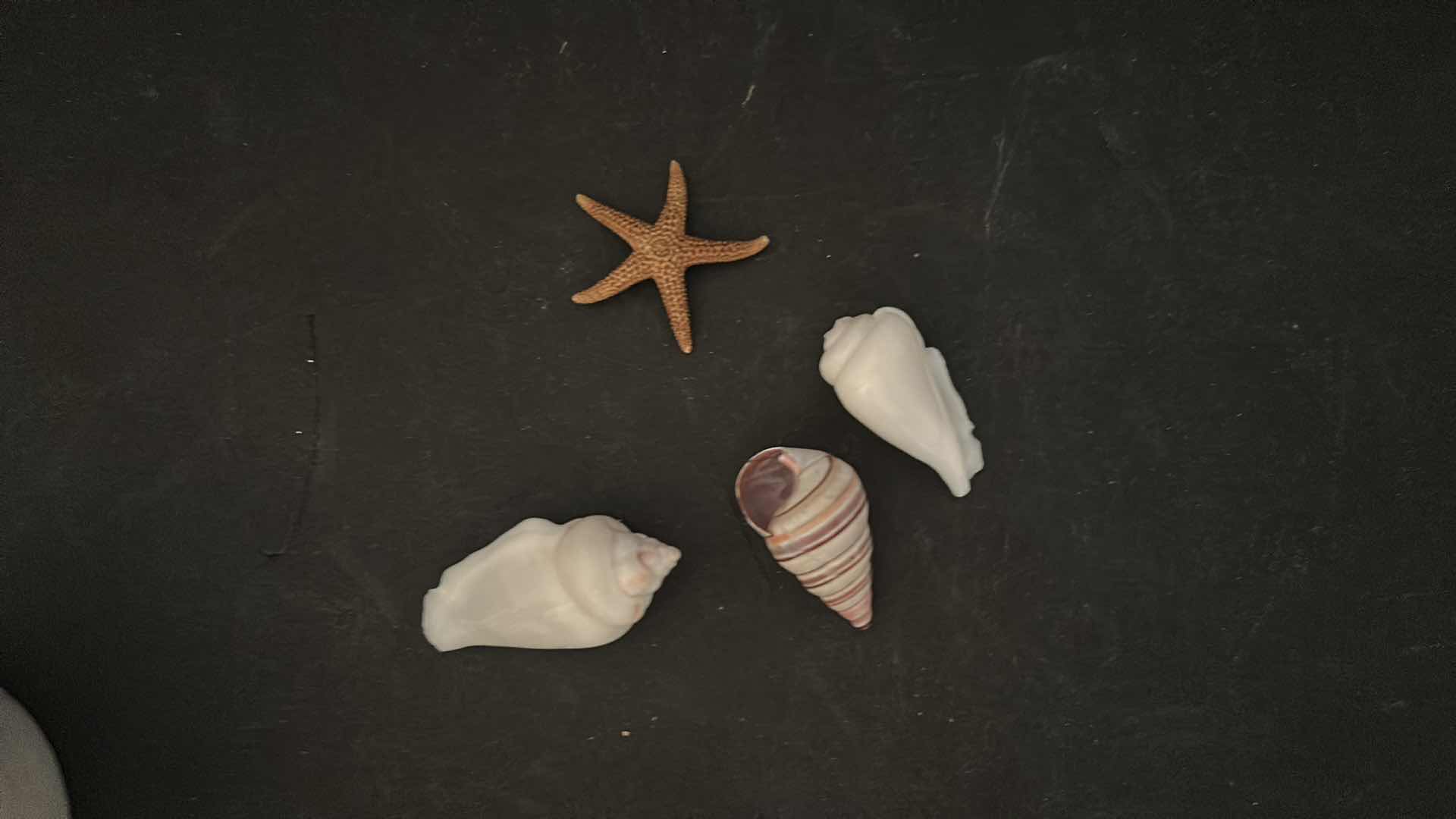 Photo 1 of HOME DECOR ASSORTMENT