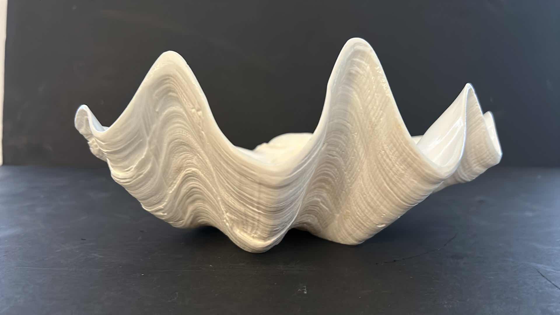 Photo 1 of LARGE WHITE SHELL 11” x 8” x 4 1/2”