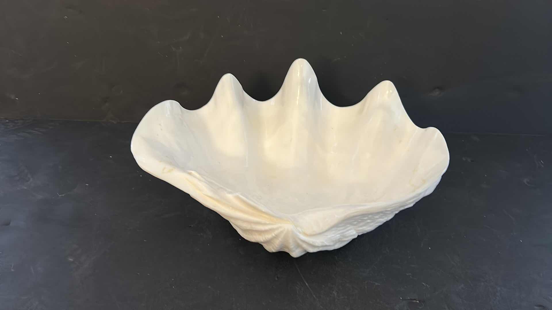 Photo 1 of LARGE WHITE SHELL 11” x 8” x 4 1/2”