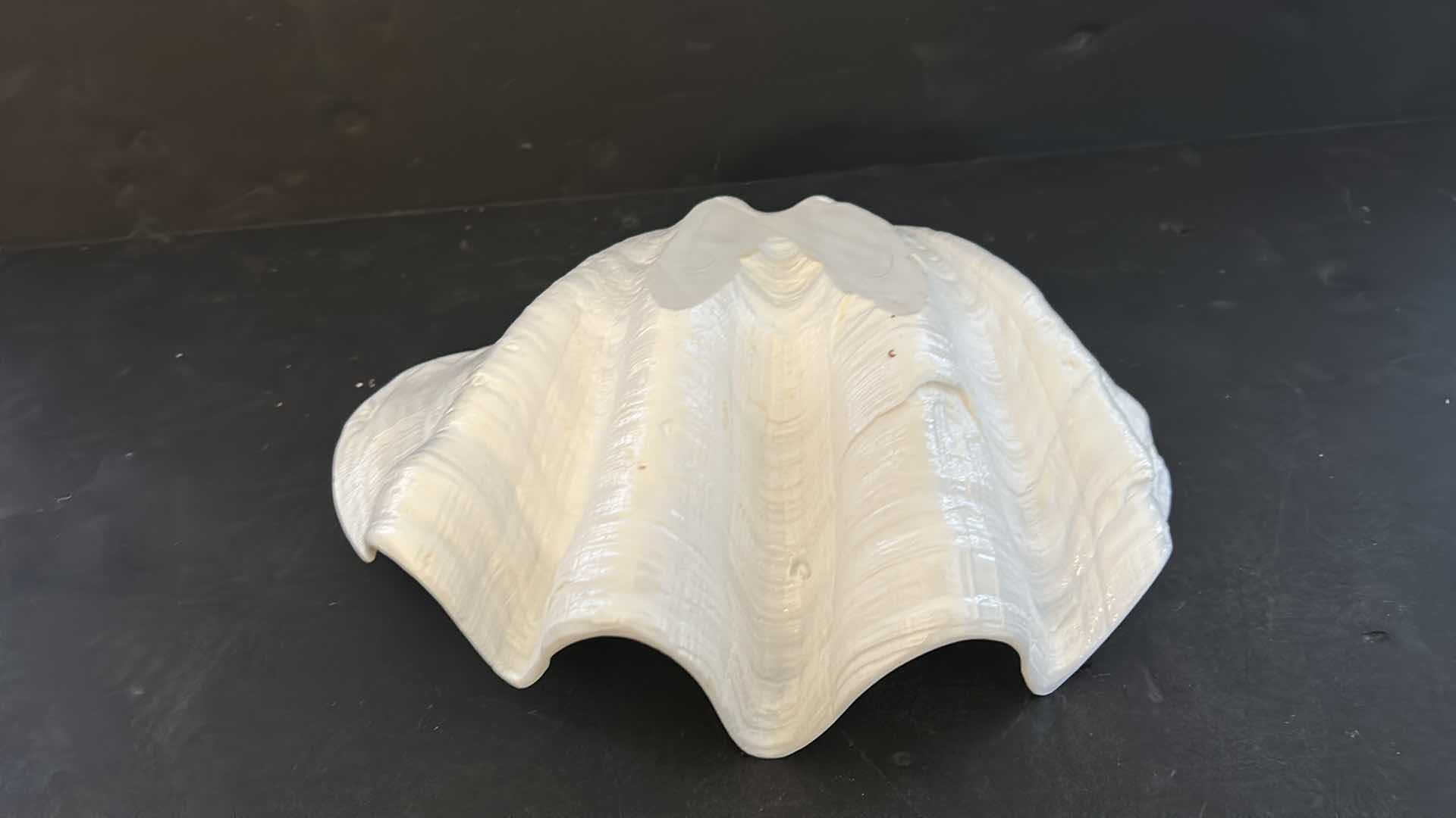 Photo 1 of LARGE WHITE SHELL 11” x 8” x 4 1/2”