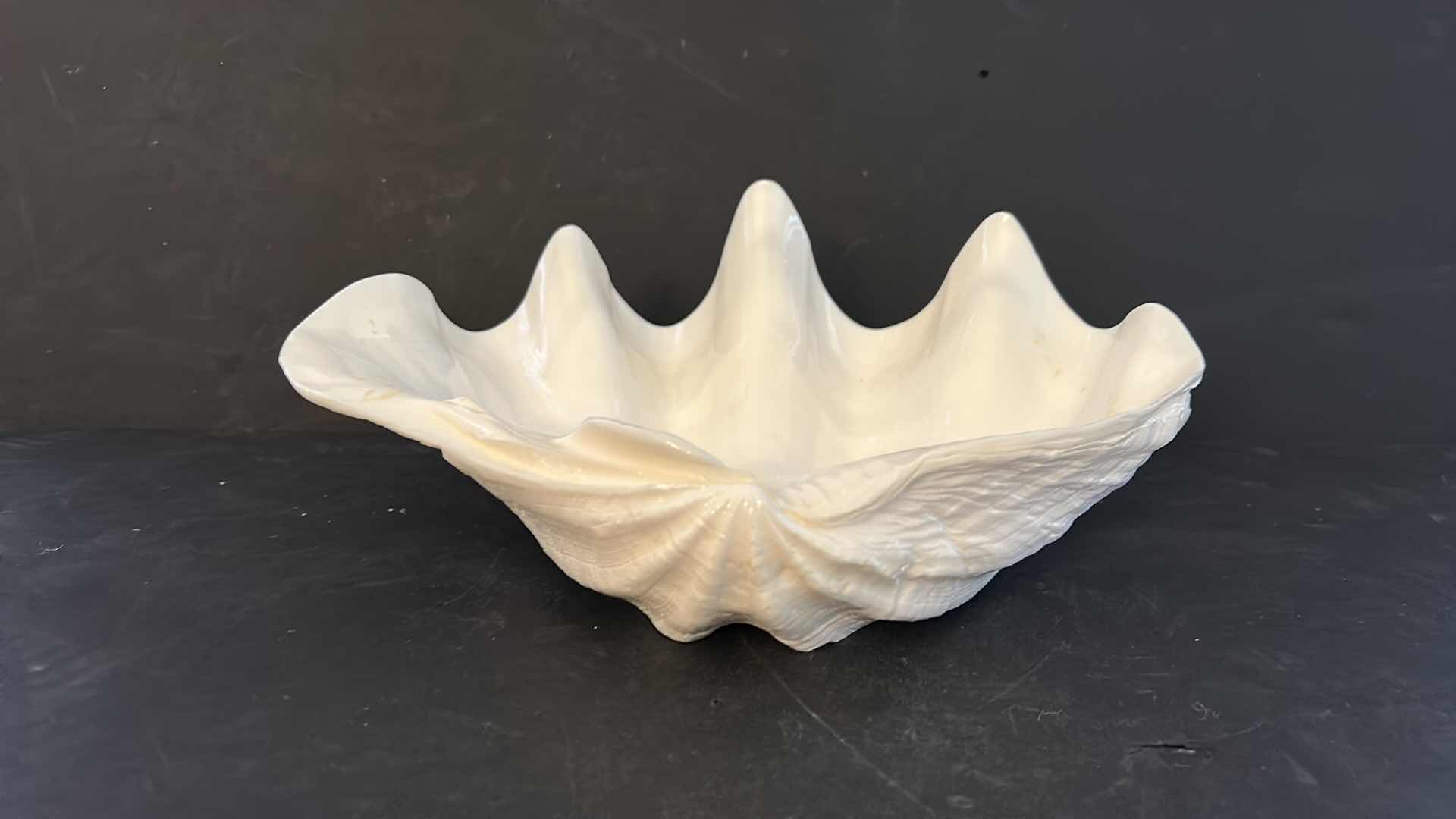 Photo 1 of LARGE WHITE SHELL 11” x 8” x 4 1/2”