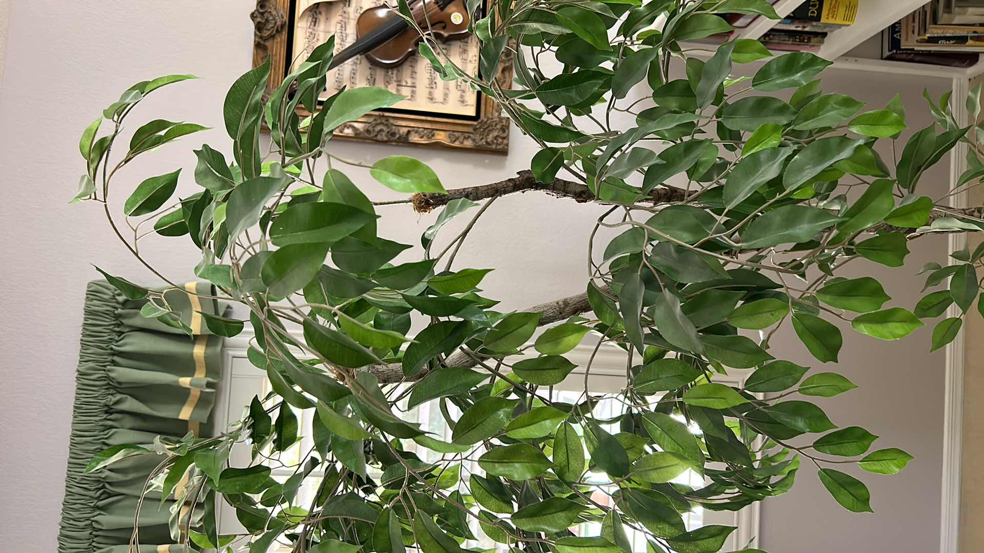 Photo 1 of POTTED REALISTIC FAUX TREE H77” (HEAVY POT MEASURES 17” x 14”